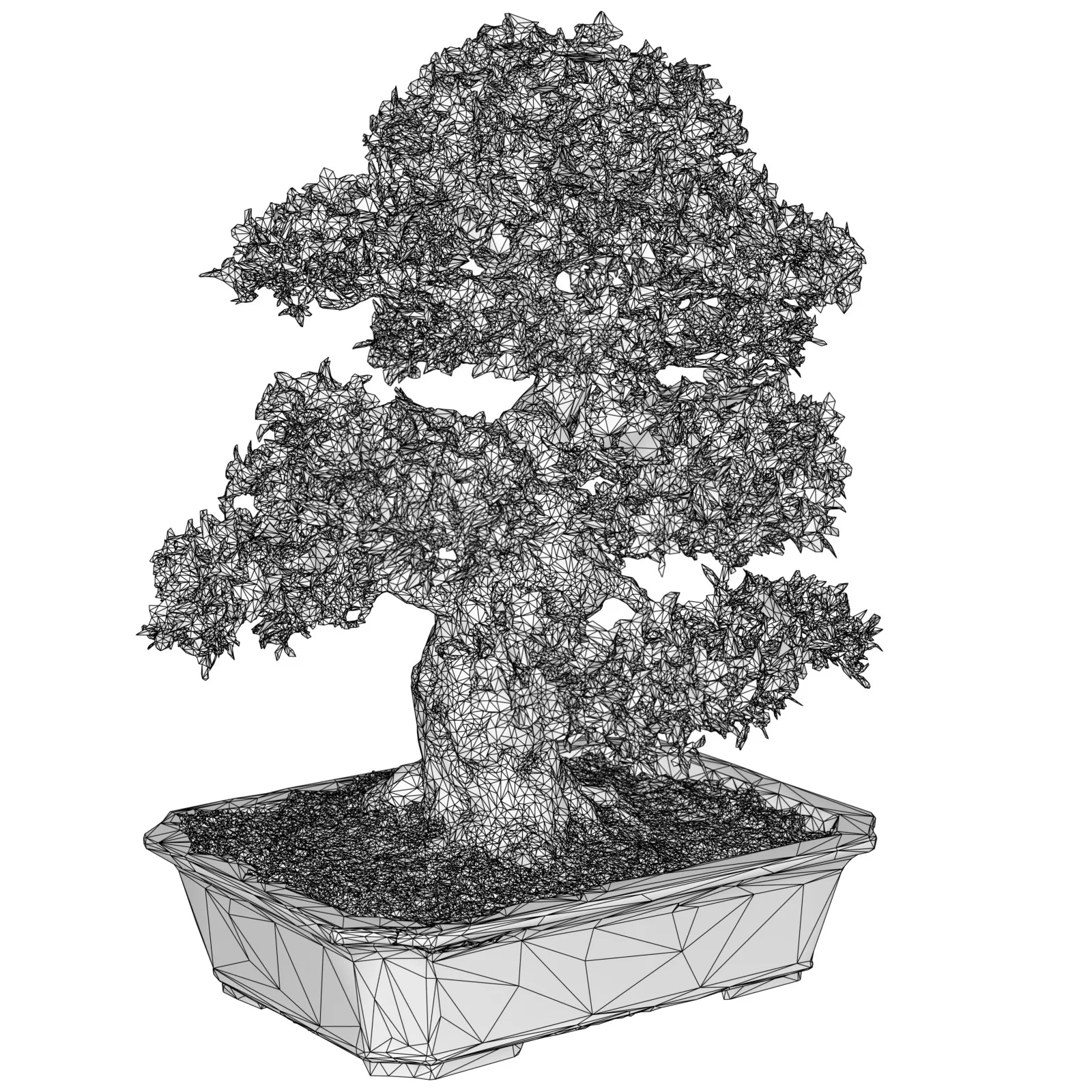 3D Scanned Blossoming Satsuki Bonsai Tree Collection