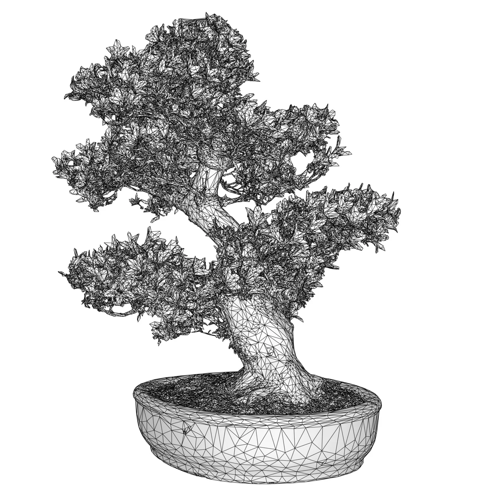 3D Scanned Blossoming Satsuki Bonsai Tree Collection