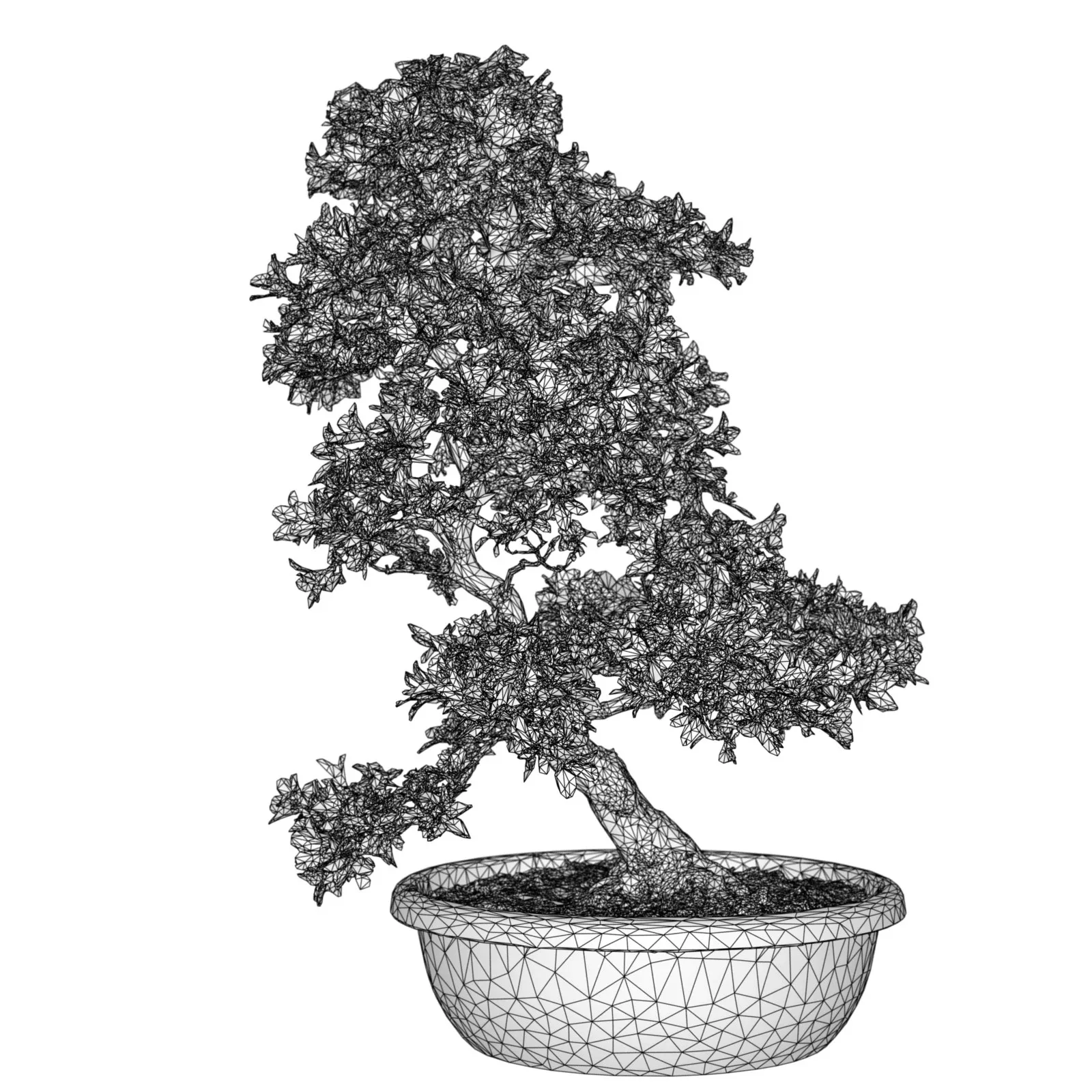 3D Scanned Blossoming Satsuki Bonsai Tree Collection