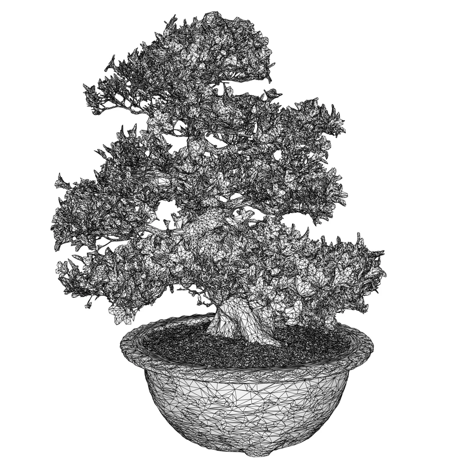 3D Scanned Blossoming Satsuki Bonsai Tree Collection