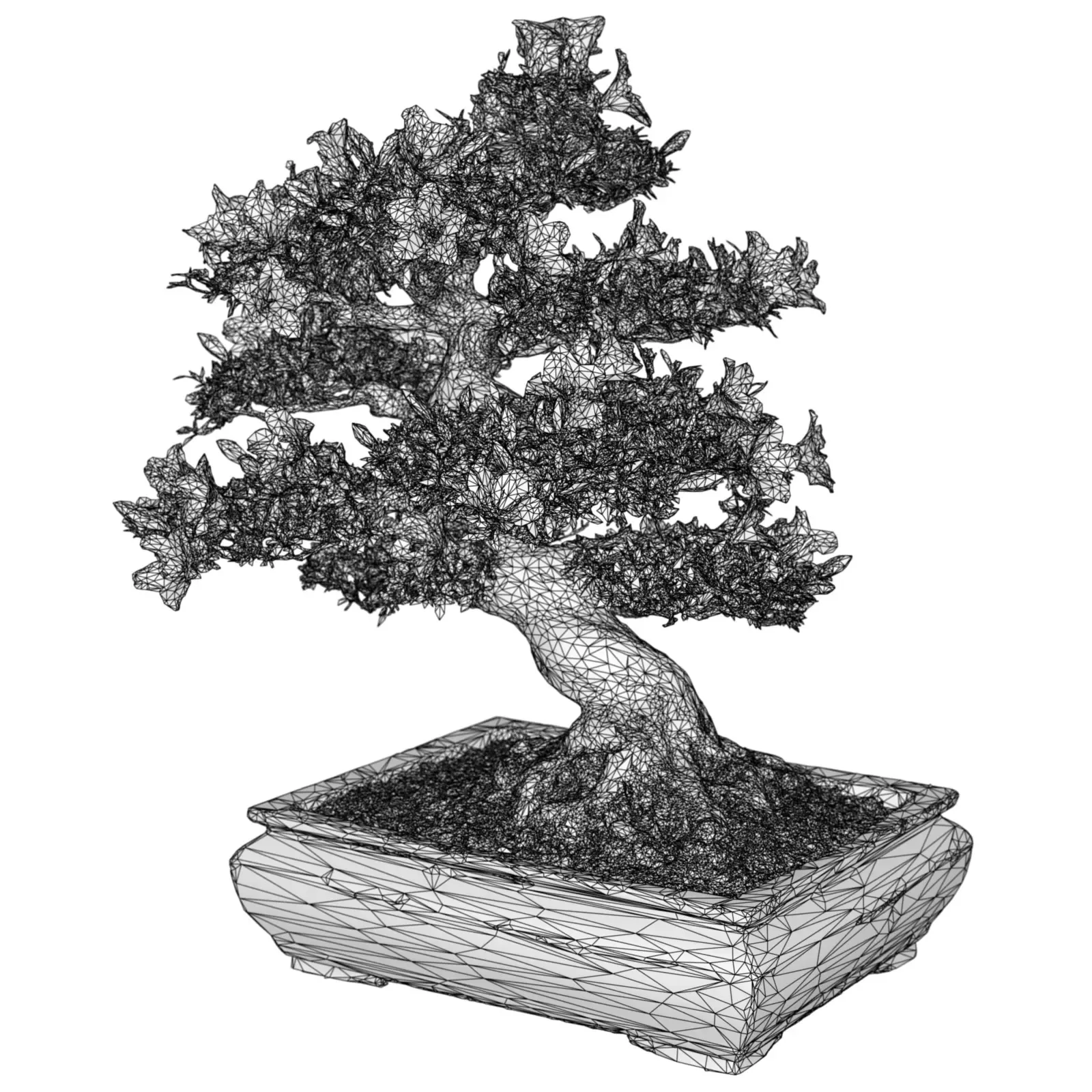 3D Scanned Blossoming Satsuki Bonsai Tree Collection