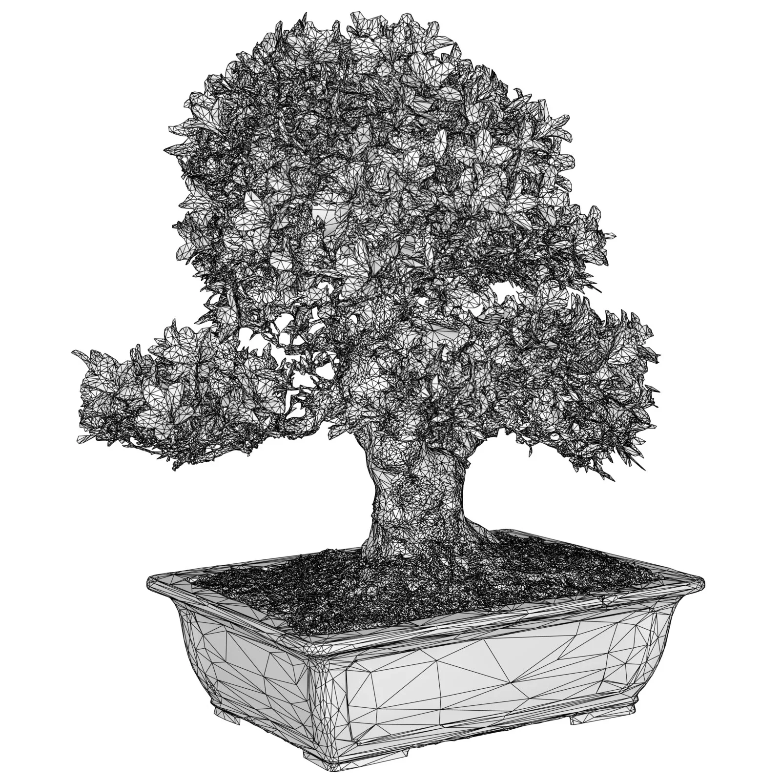 3D Scanned Blossoming Satsuki Bonsai Tree Collection