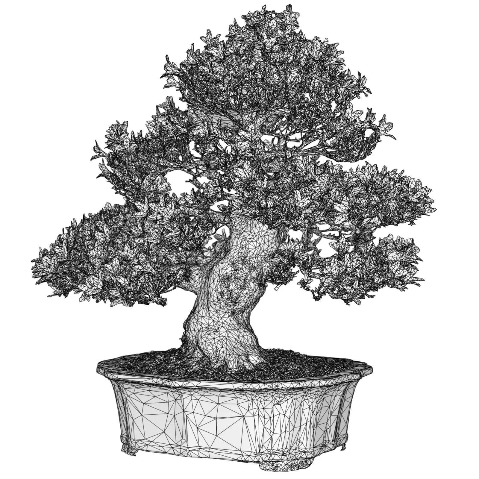 3D Scanned Blossoming Satsuki Bonsai Tree Collection