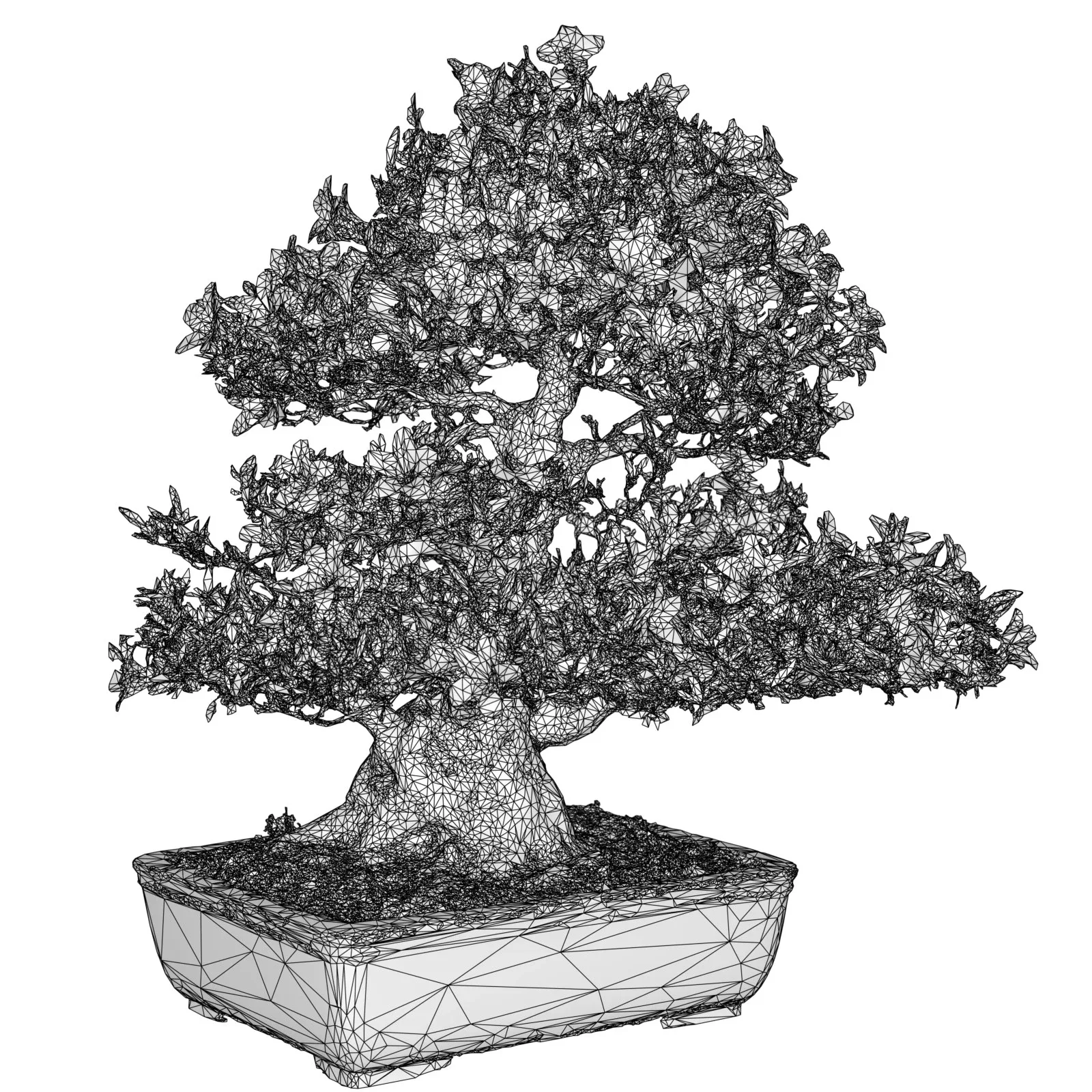 3D Scanned Blossoming Satsuki Bonsai Tree Collection