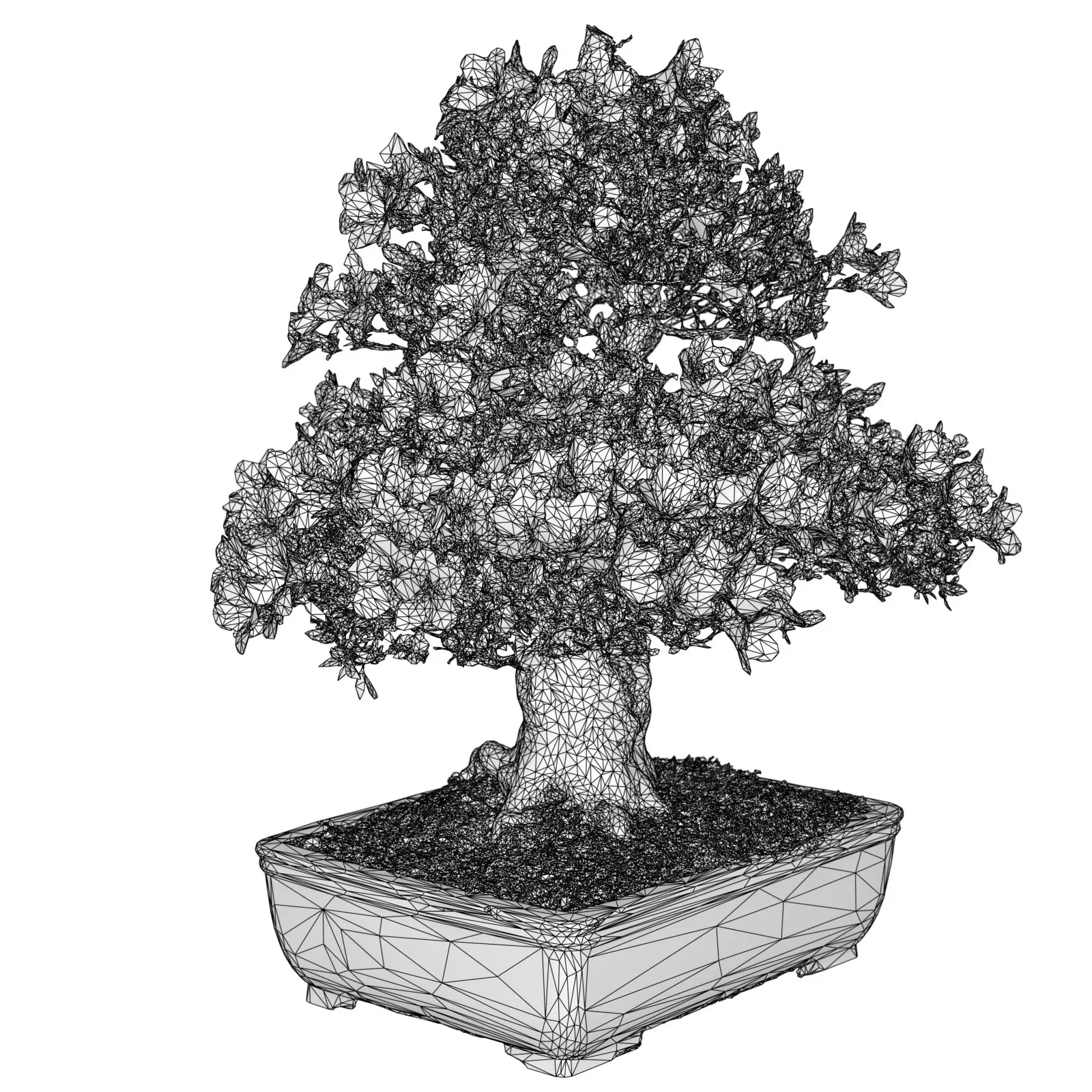 3D Scanned Blossoming Satsuki Bonsai Tree Collection