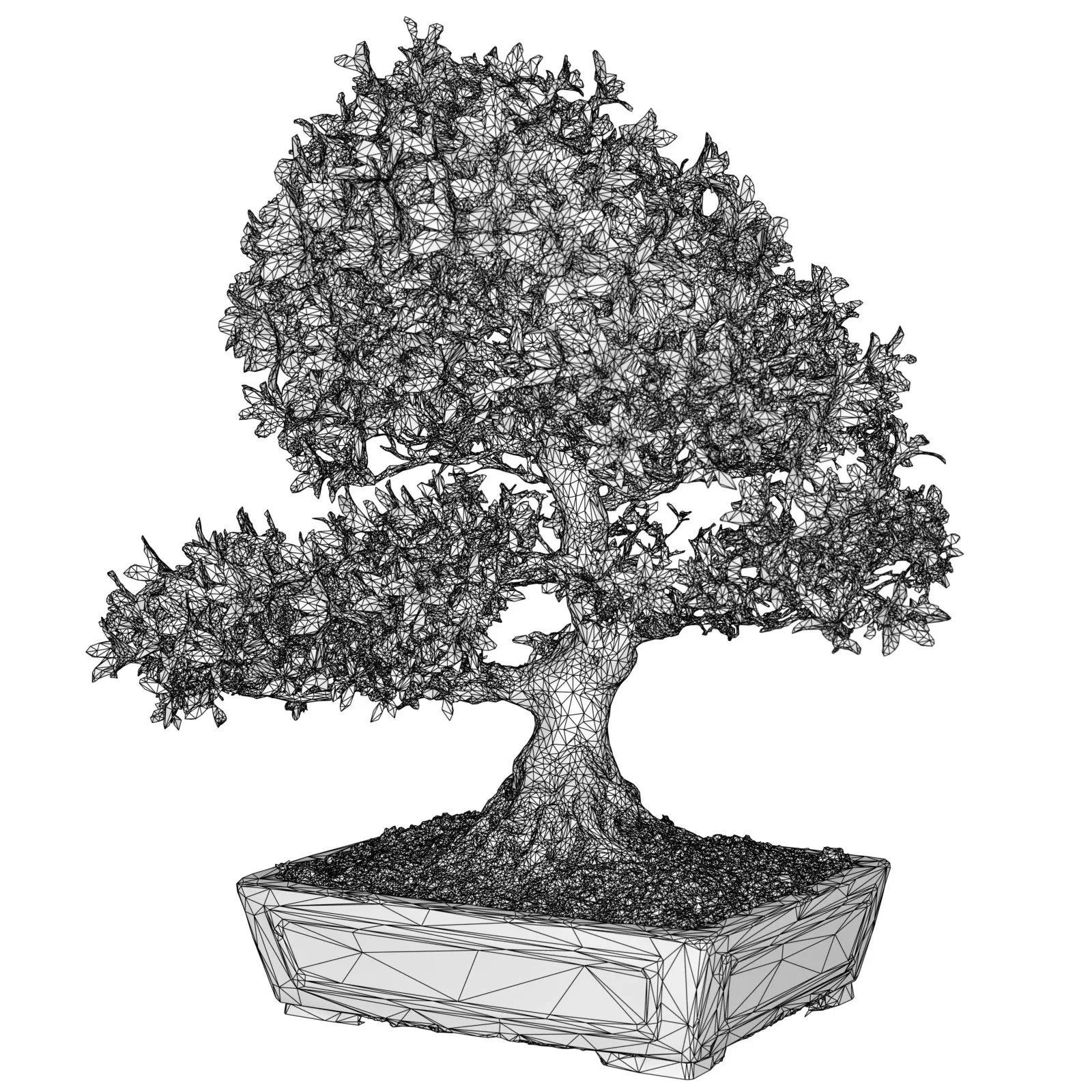 3D Scanned Blossoming Satsuki Bonsai Tree Collection