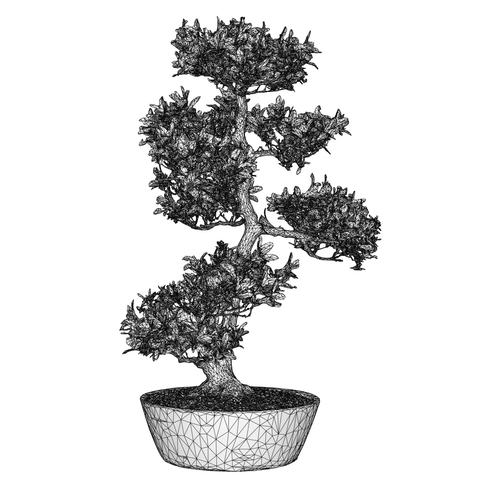 3D Scanned Blossoming Satsuki Bonsai Tree Collection