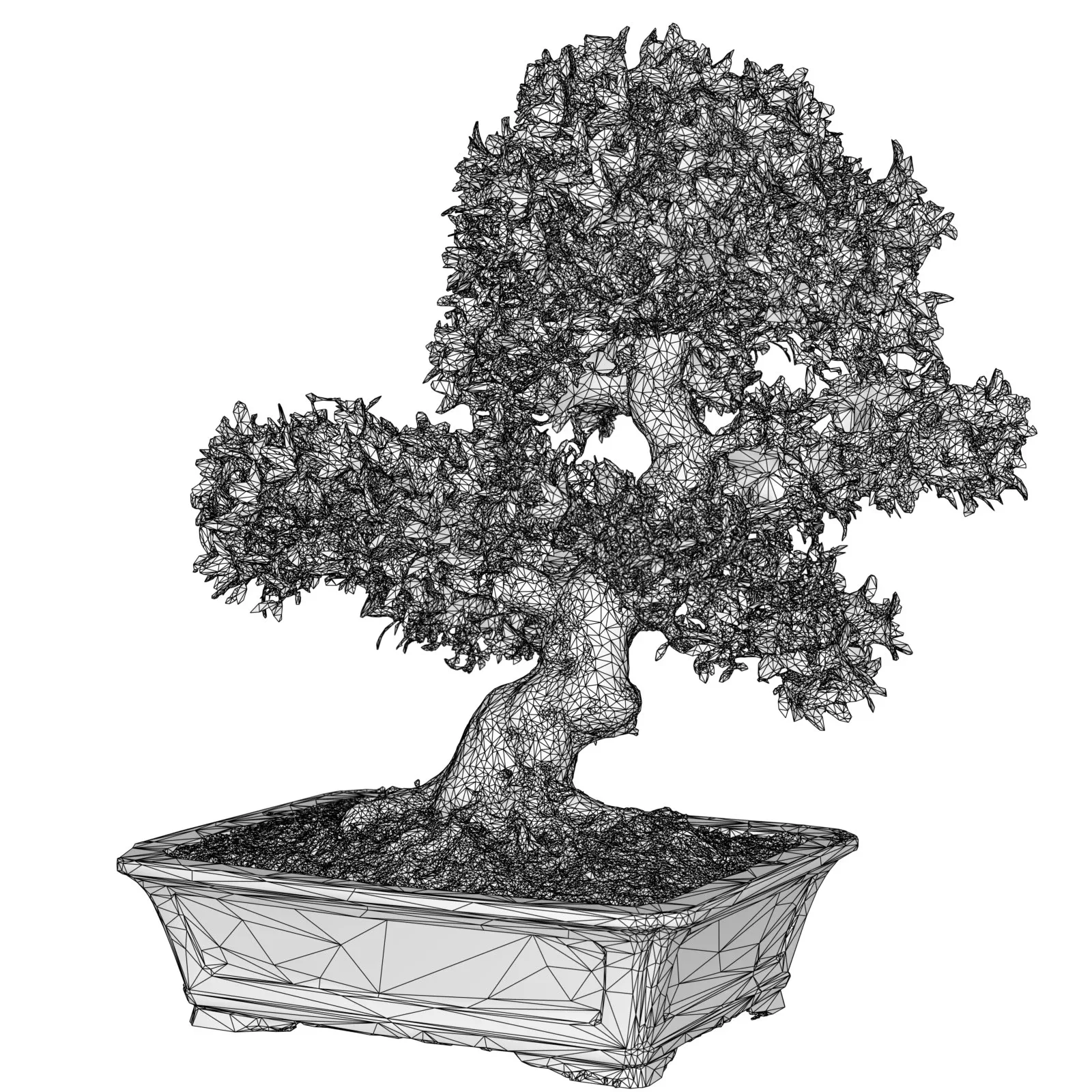 3D Scanned Blossoming Satsuki Bonsai Tree Collection