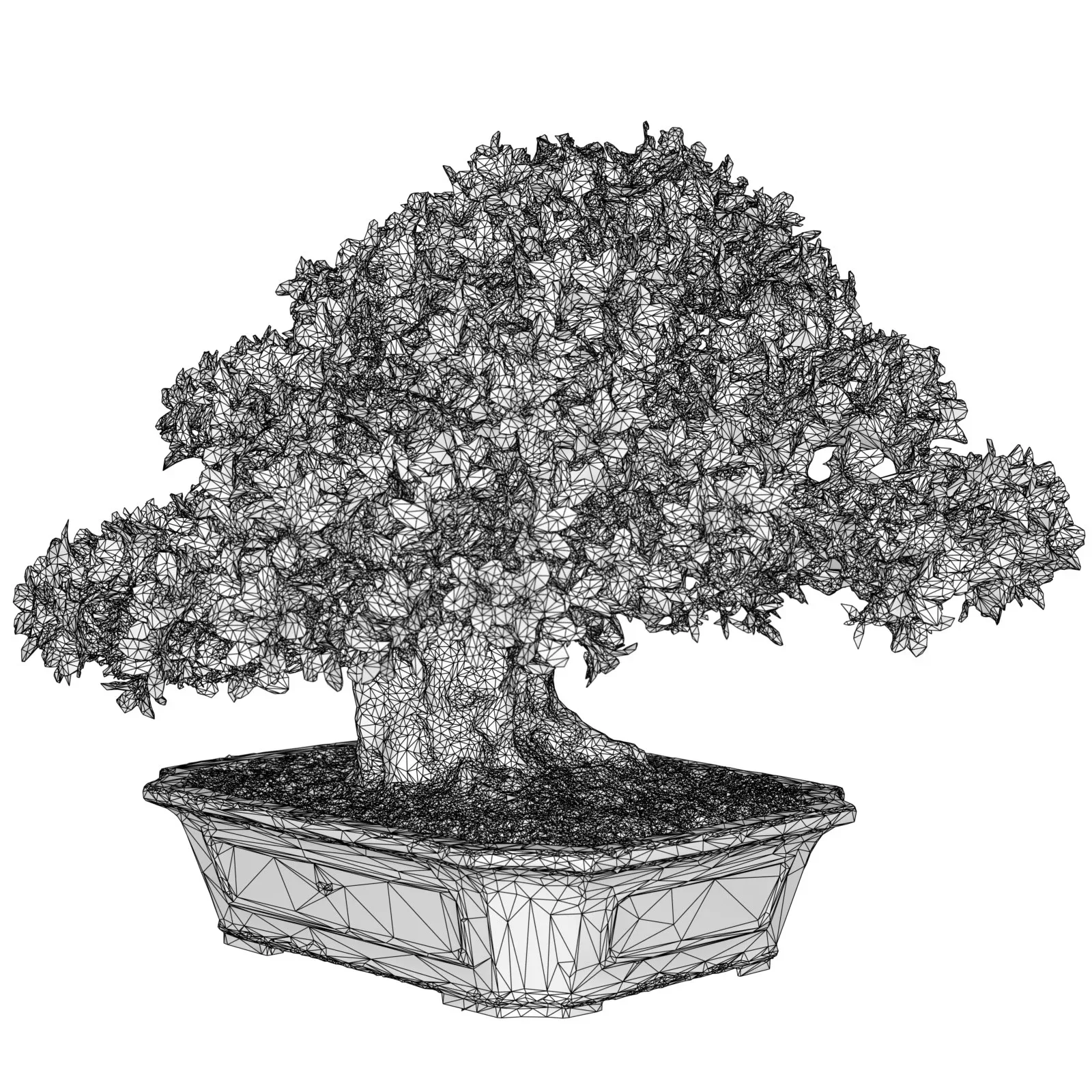 3D Scanned Blossoming Satsuki Bonsai Tree Collection