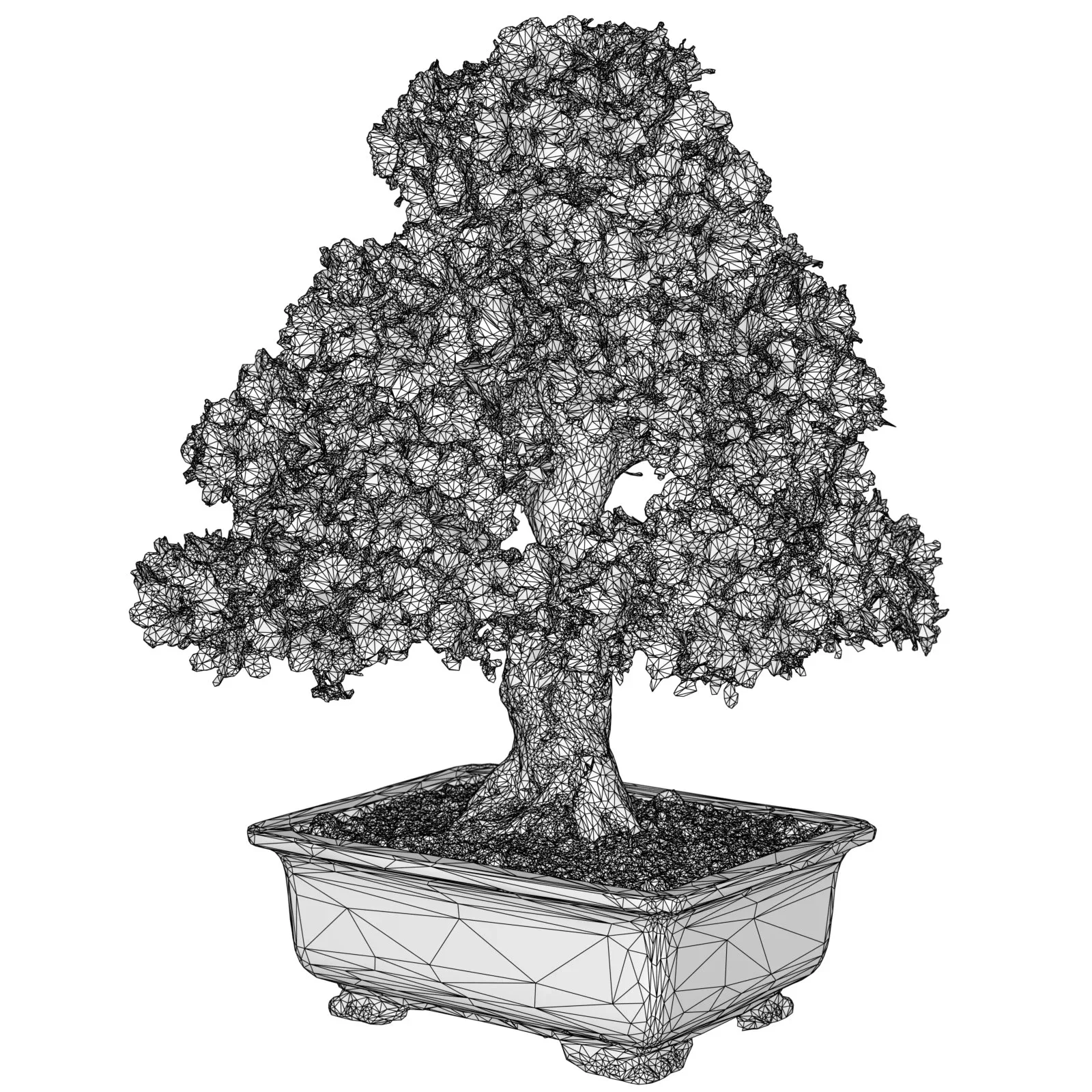 3D Scanned Blossoming Satsuki Bonsai Tree Collection