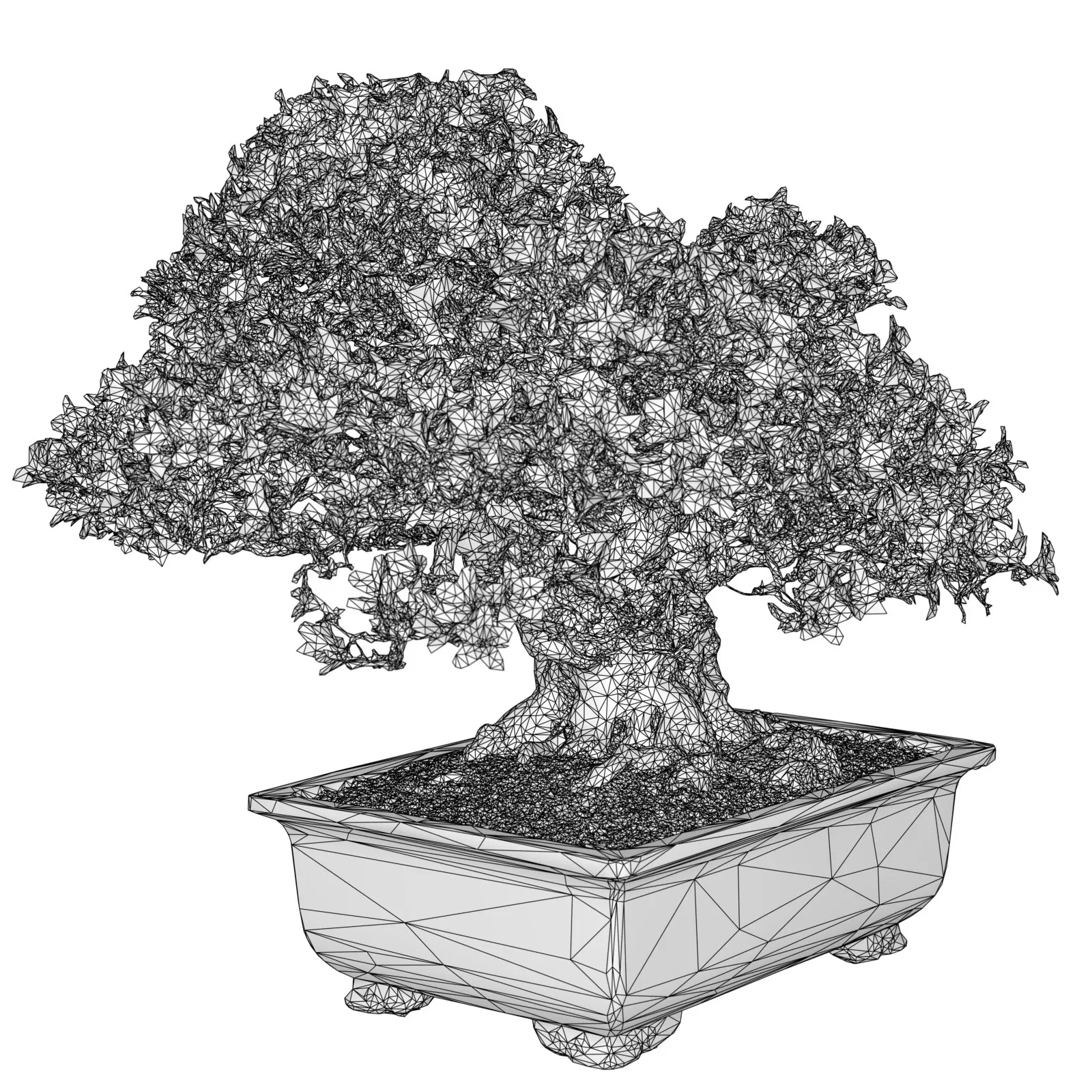 3D Scanned Blossoming Satsuki Bonsai Tree Collection