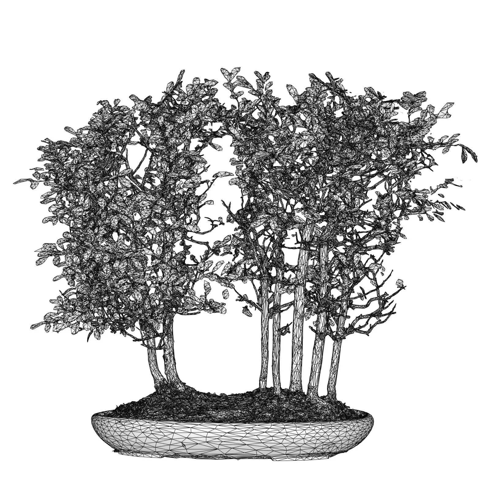 3D Scanned Blossoming Satsuki Bonsai Tree Collection