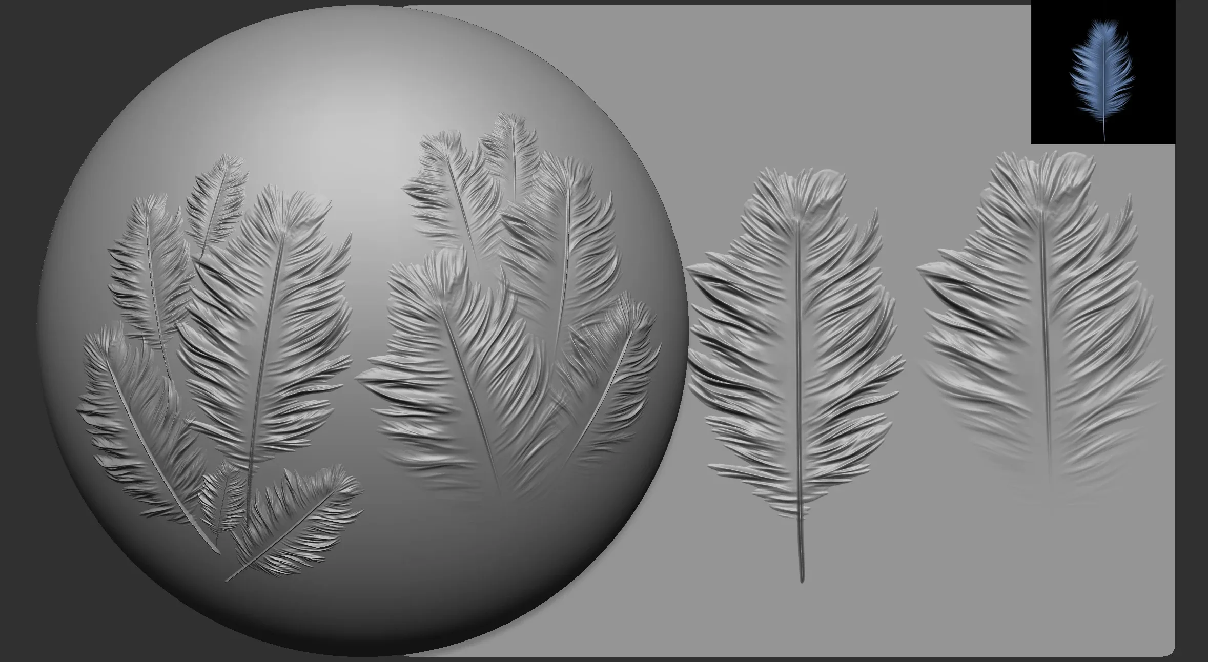 40 Fantasy Feathers | Alphas, Displacement, Diffuse