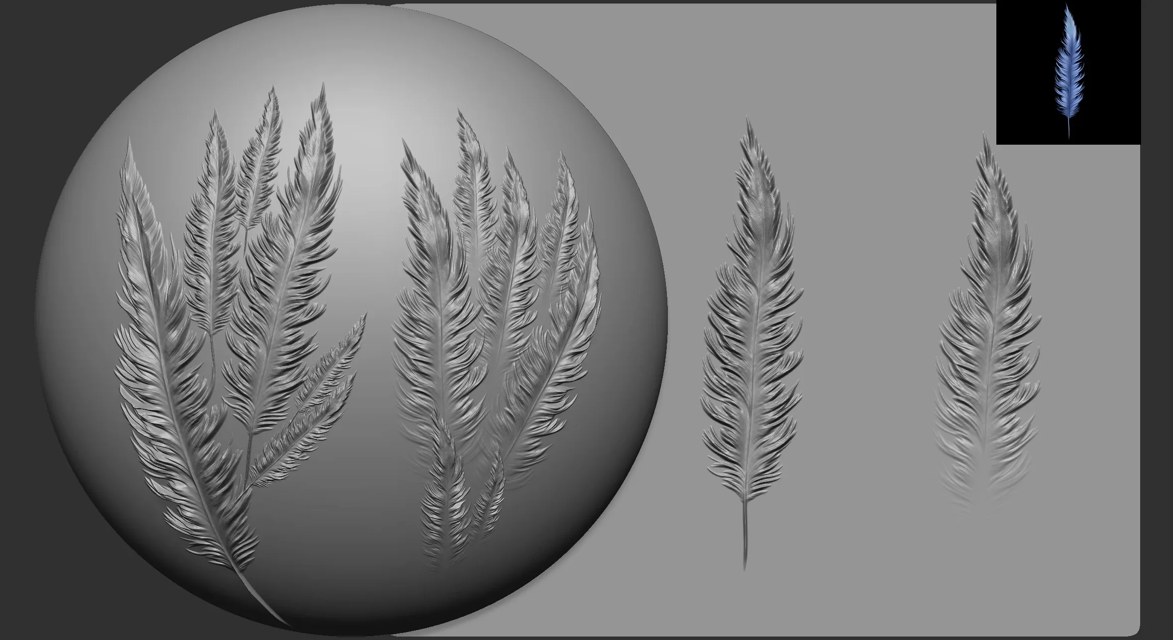 40 Fantasy Feathers | Alphas, Displacement, Diffuse