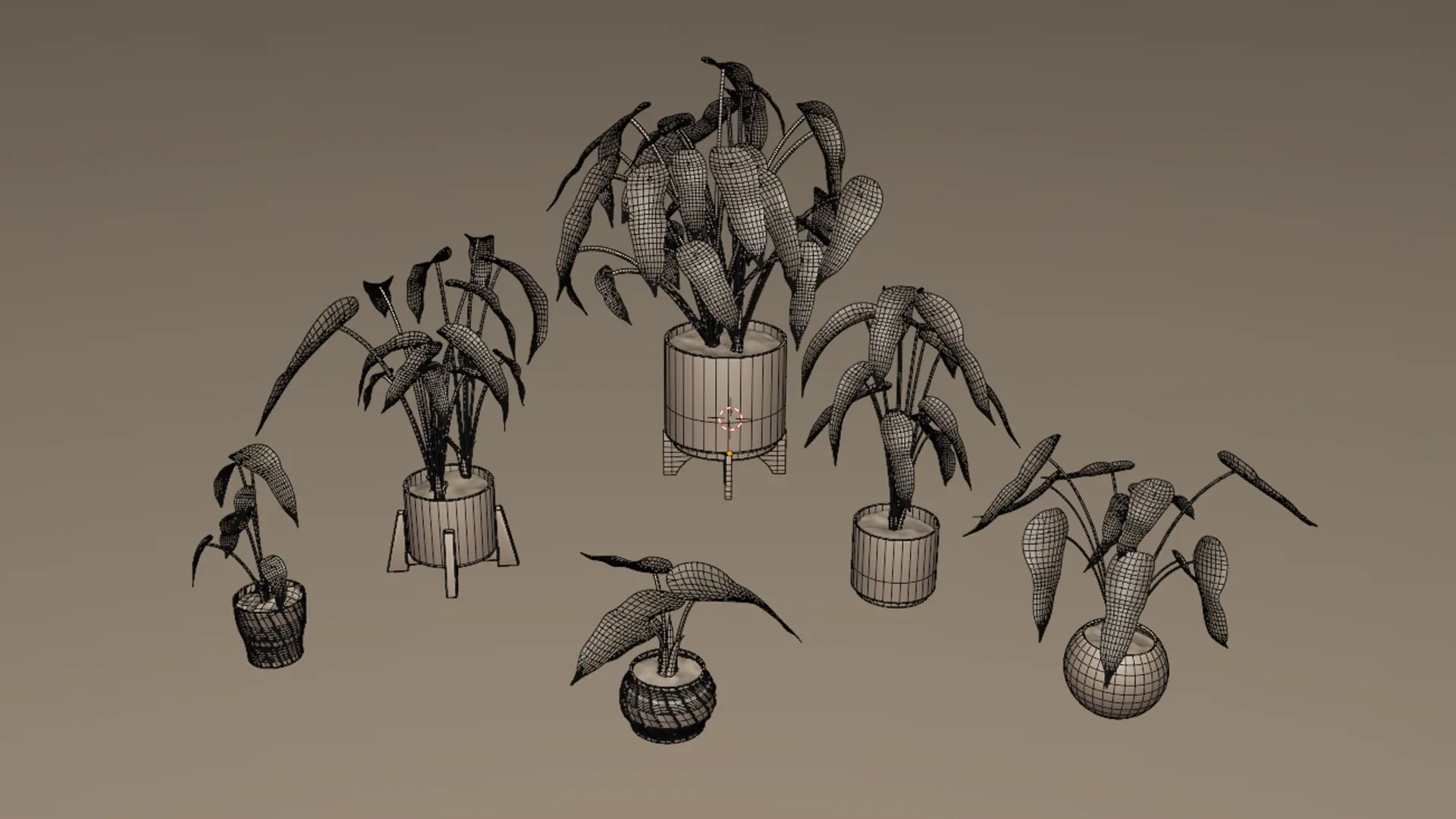 Alocasia mortfontanensis Plants Vol 04