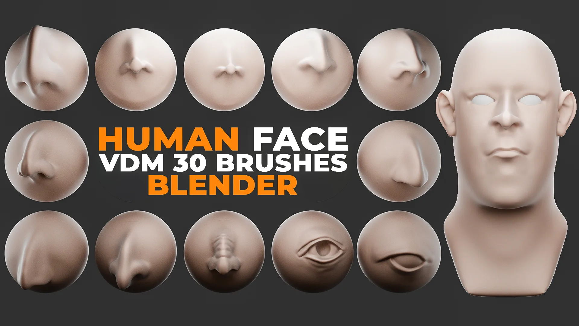 Human Face Vdm Brushes For Blender. Asset Browser.