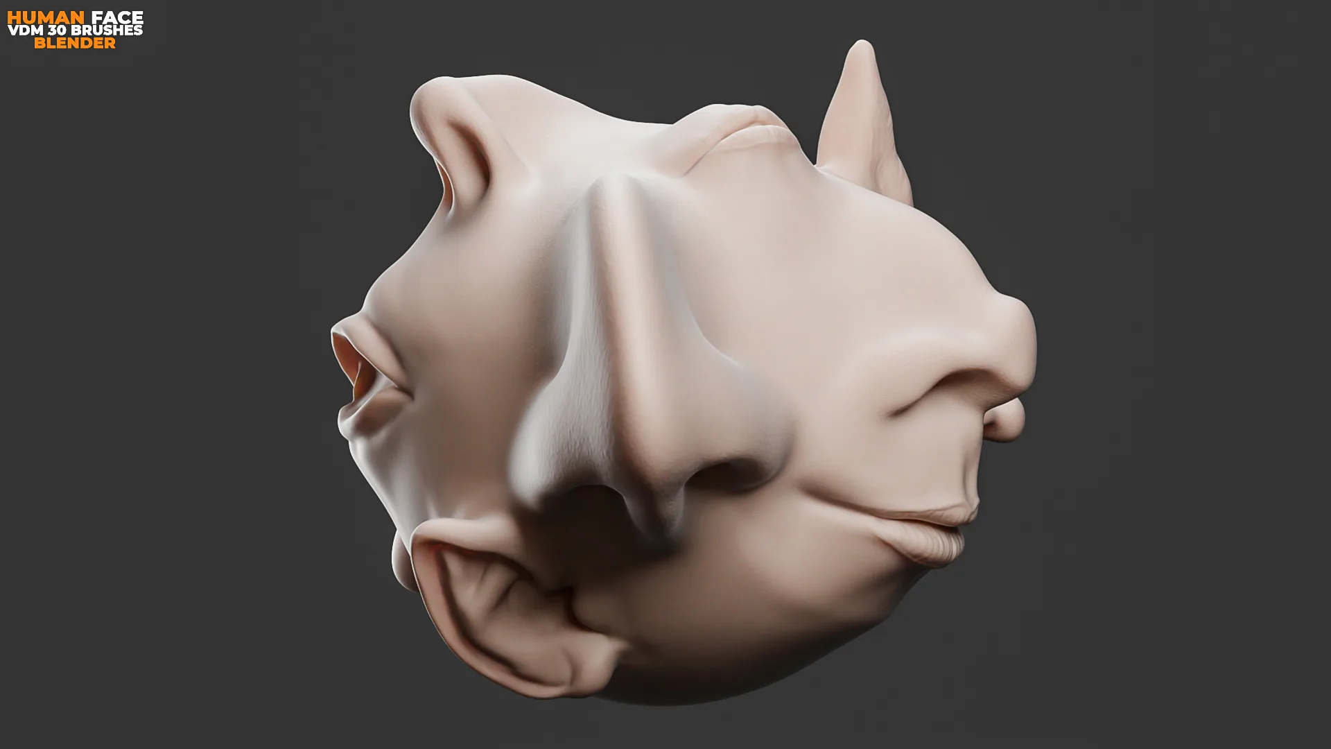 Human Face Vdm Brushes For Blender. Asset Browser.