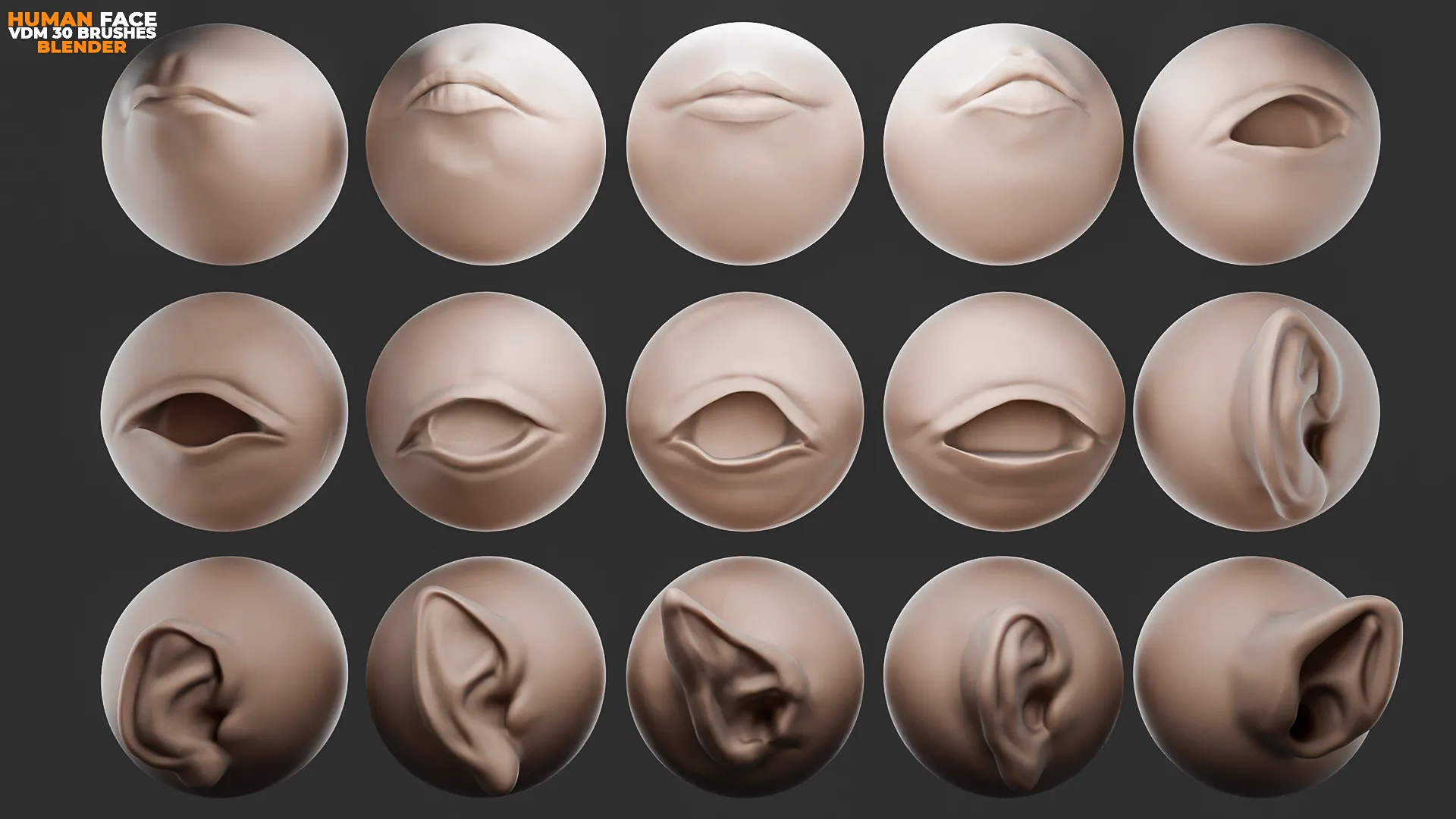 Human Face Vdm Brushes For Blender. Asset Browser.