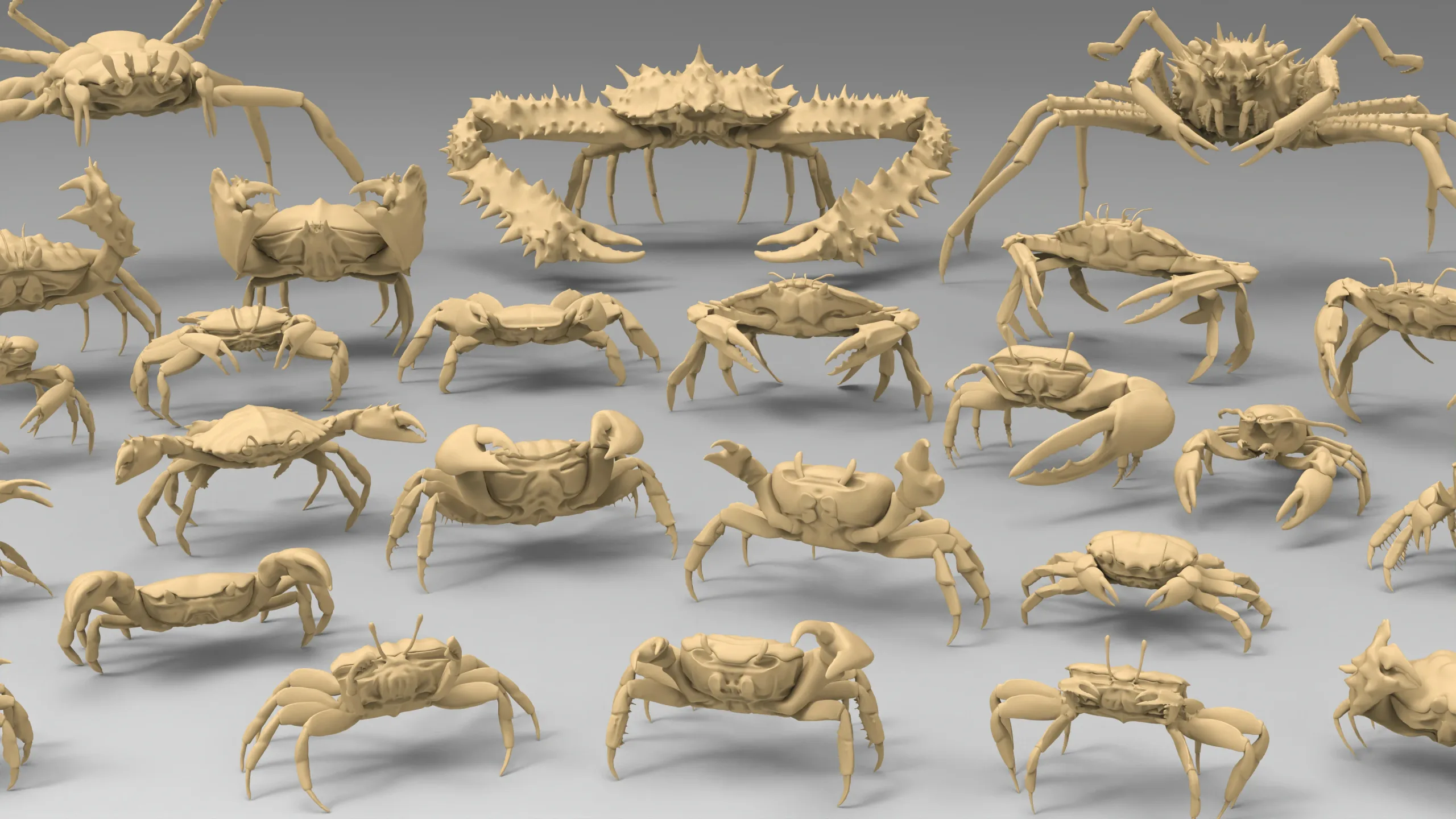 25 Basemesh crab collection