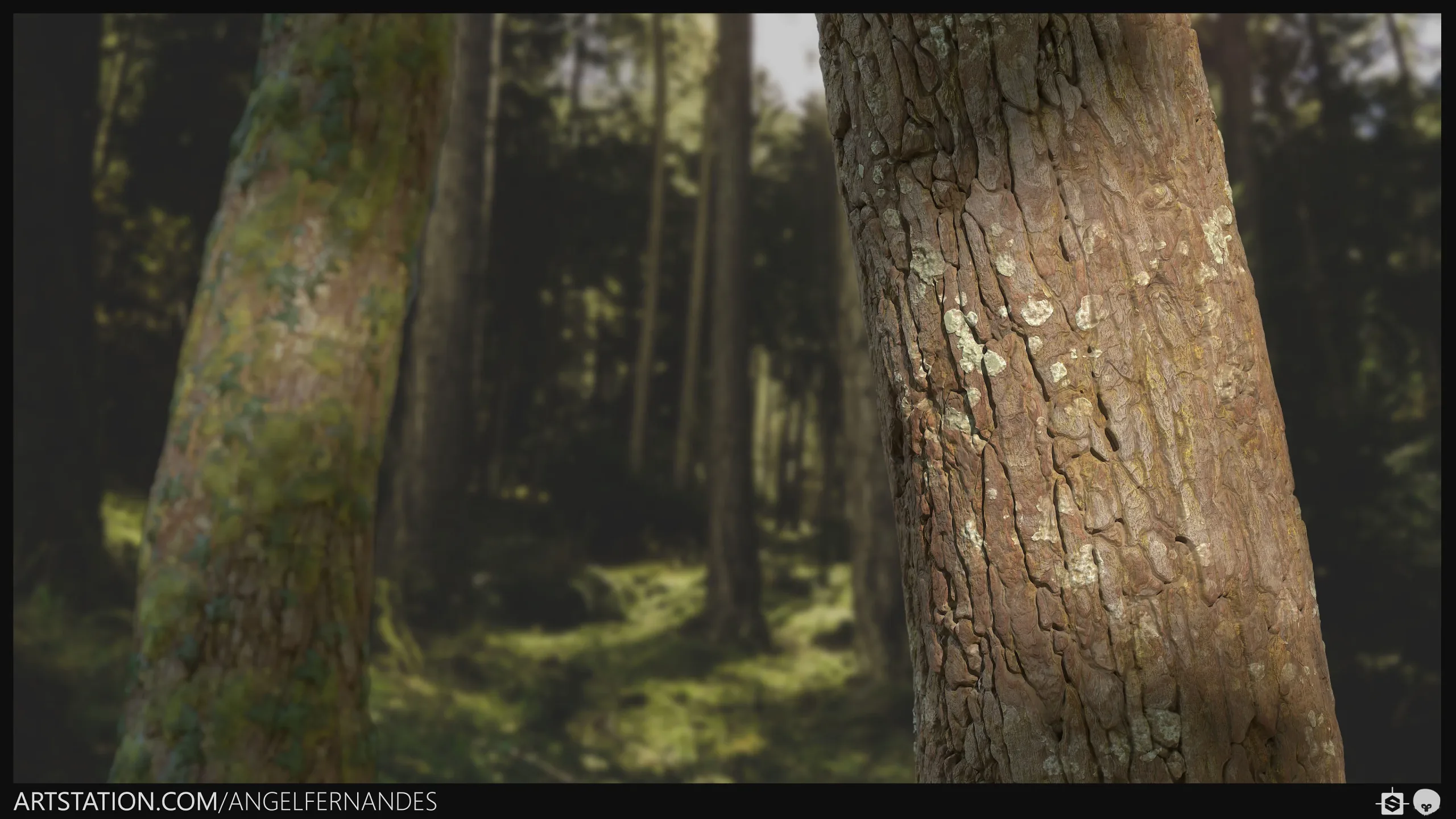 Tree Bark Moss Ivy Lichen Material - Substance Designer