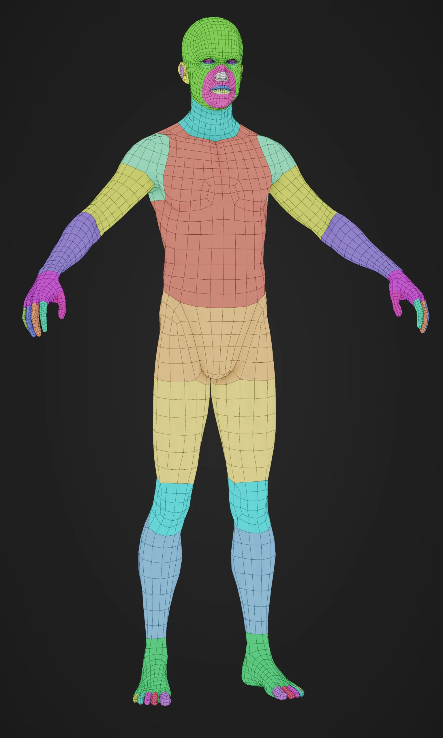 Realistic Human Male Basemesh