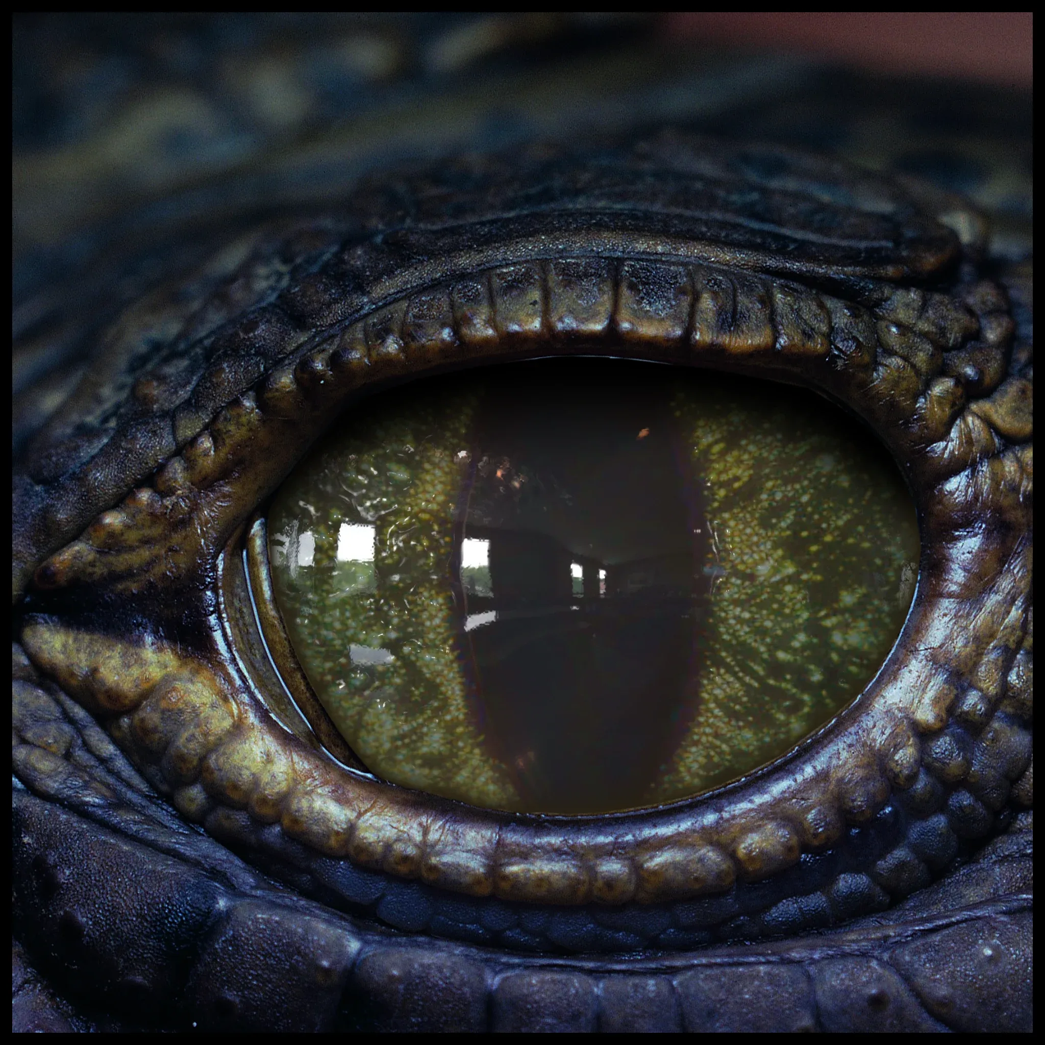 Creature Eyes Vol 08 - PBR