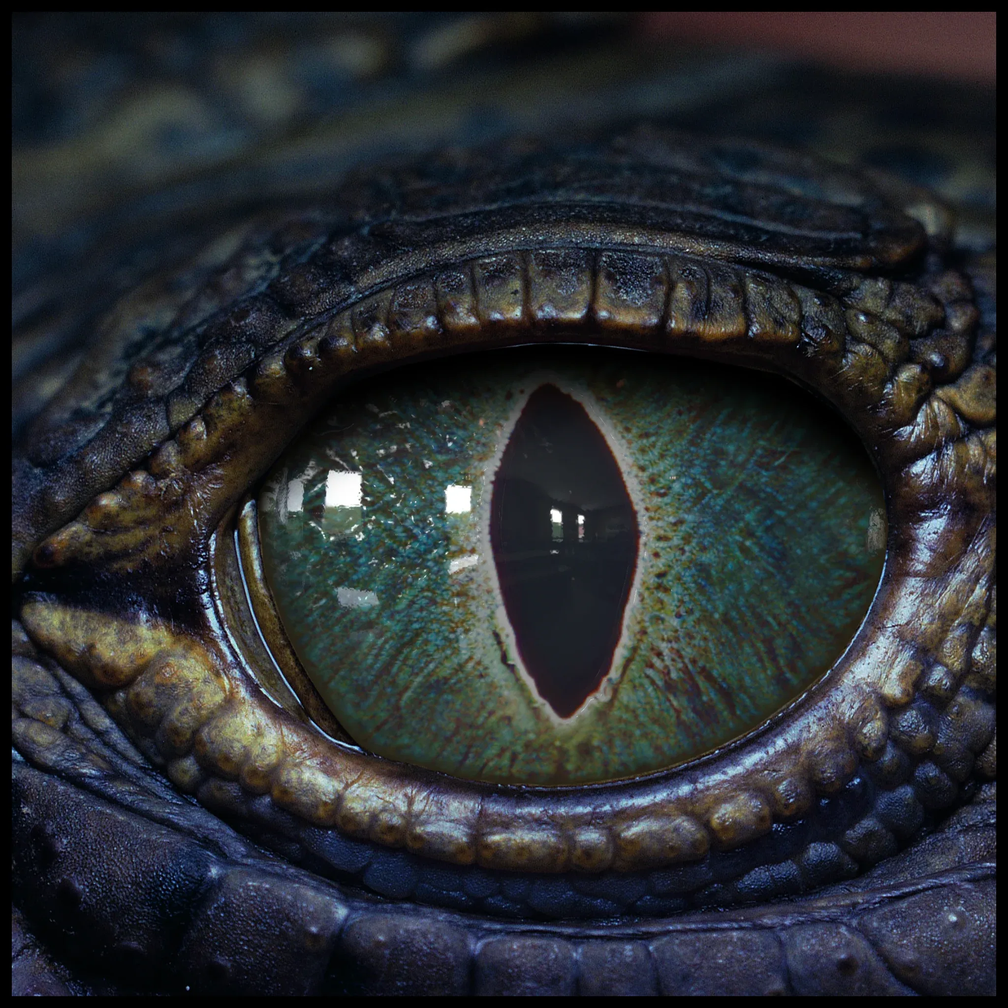 Creature Eyes Vol 08 - PBR