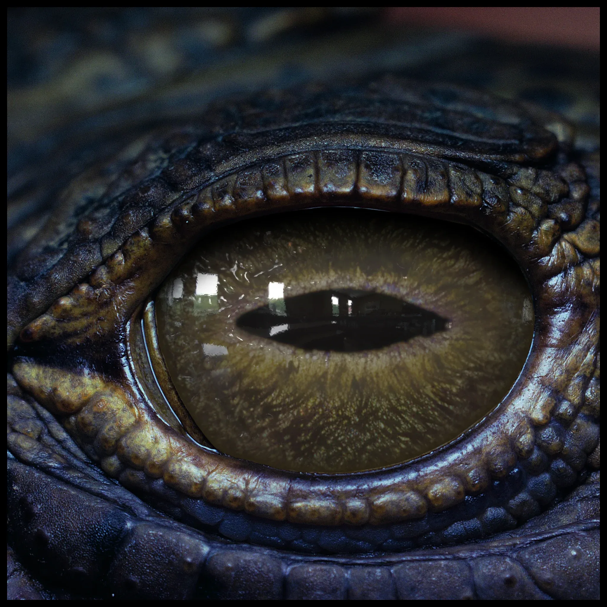 Creature Eyes Vol 08 - PBR