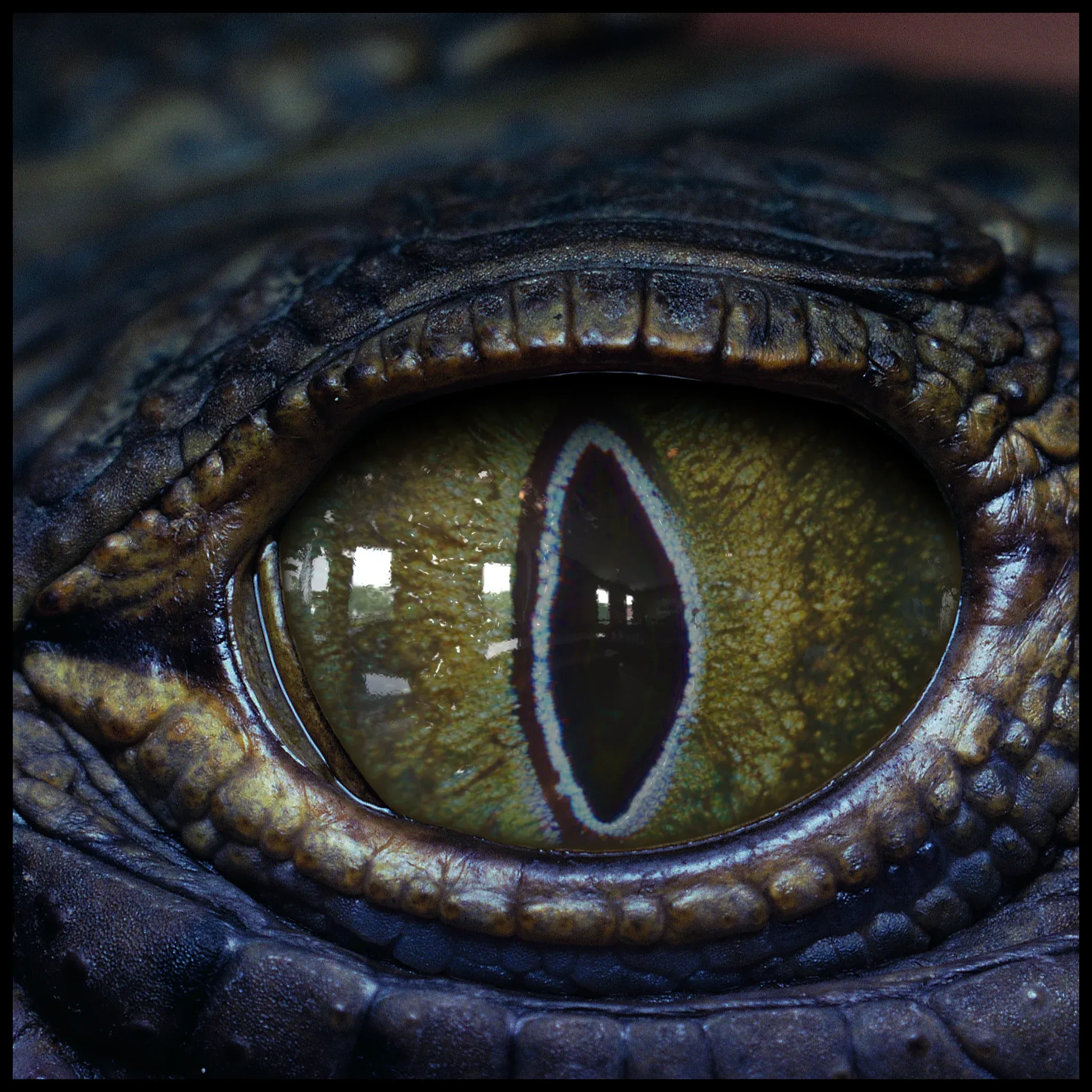 Creature Eyes Vol 08 - PBR