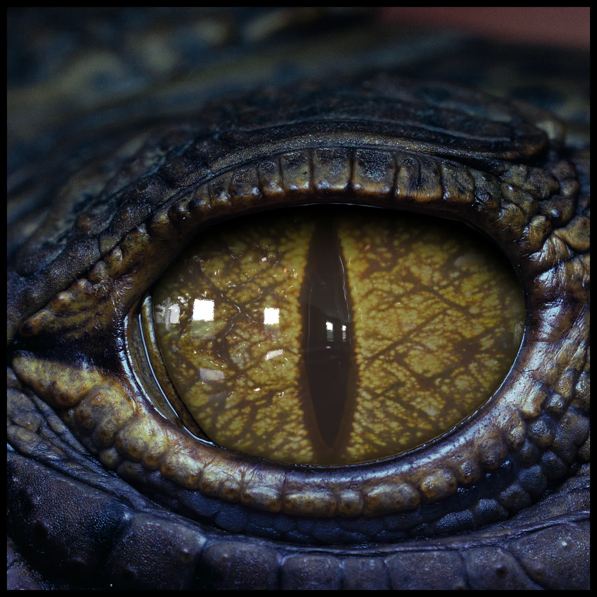 Creature Eyes Vol 08 - PBR