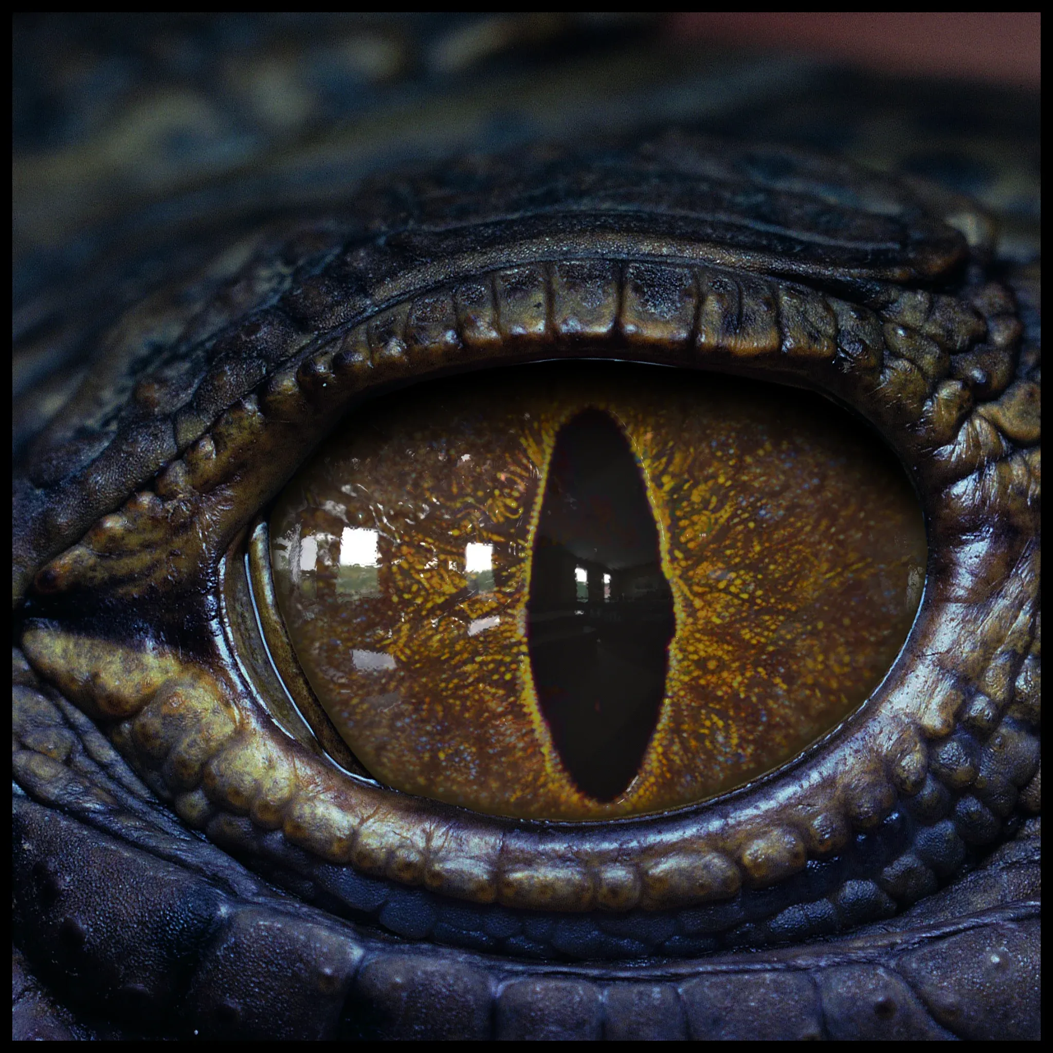 Creature Eyes Vol 08 - PBR