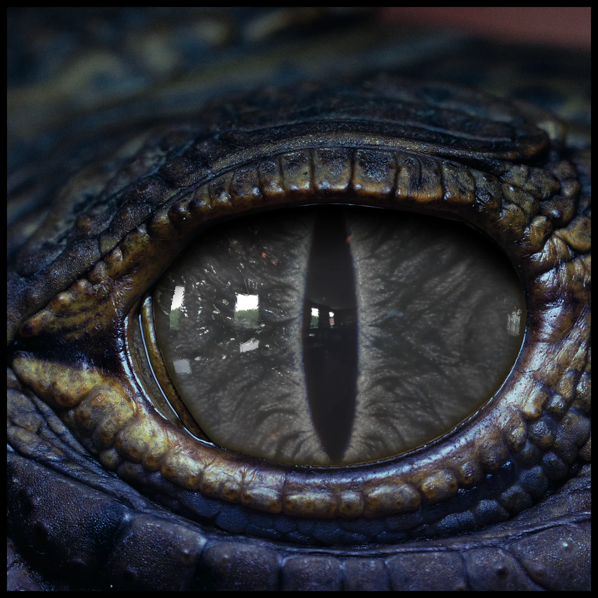 Creature Eyes Vol 09 - PBR