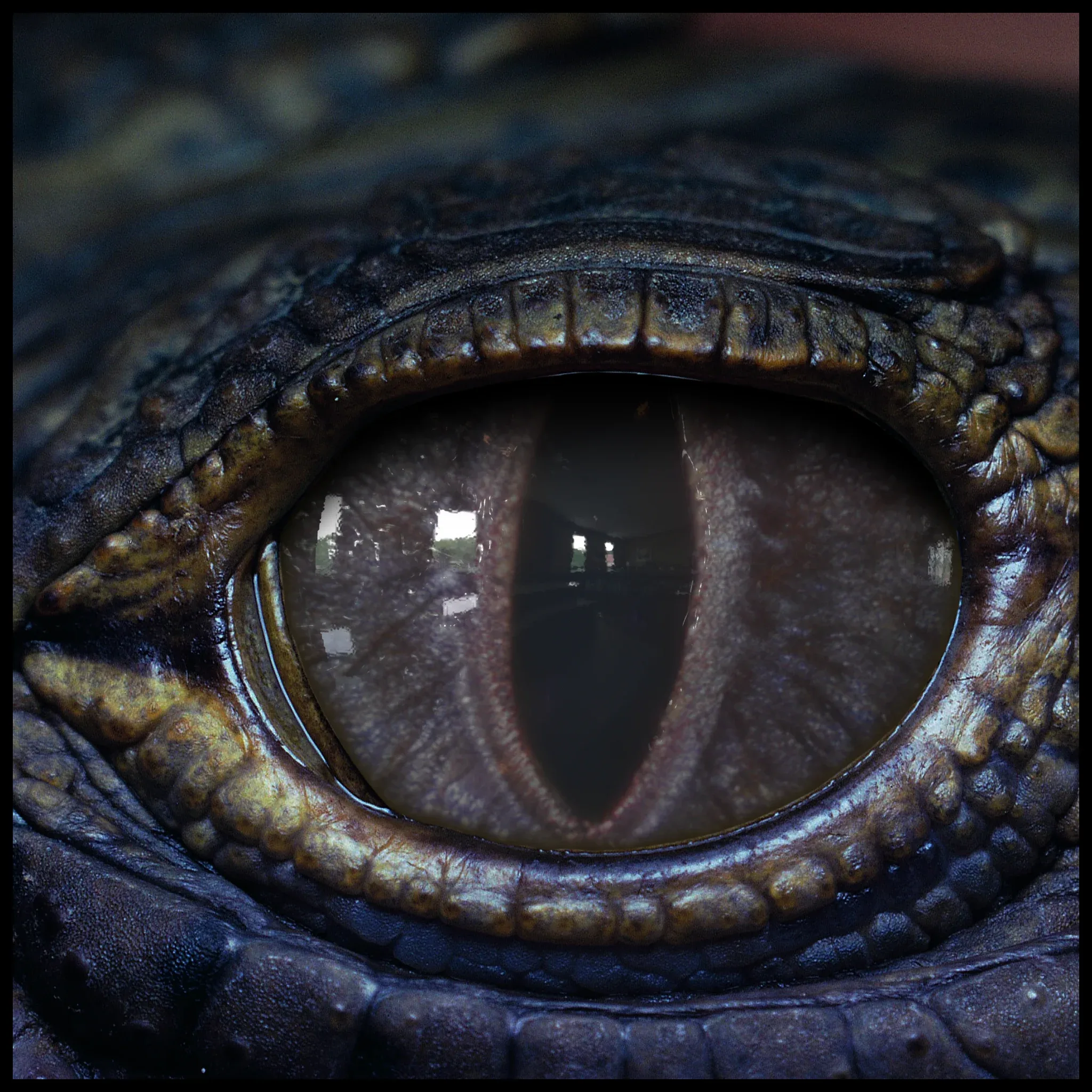 Creature Eyes Vol 09 - PBR