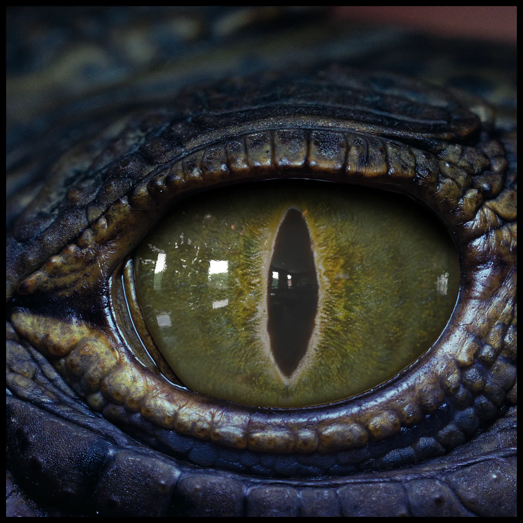 Creature Eyes Vol 09 - PBR