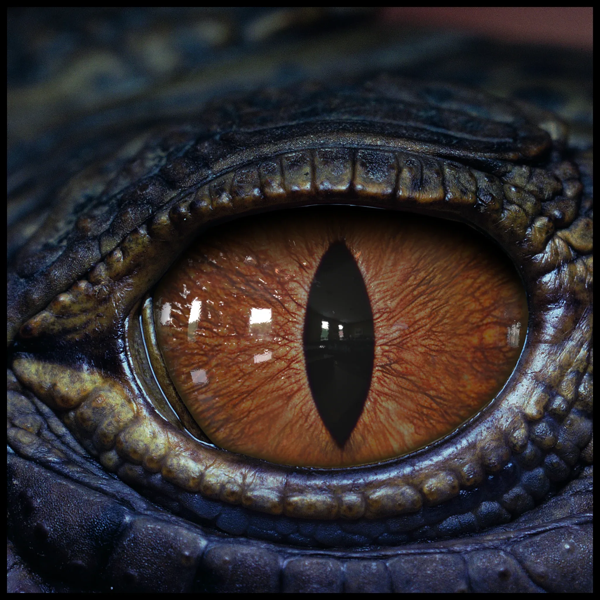 Creature Eyes Vol 09 - PBR