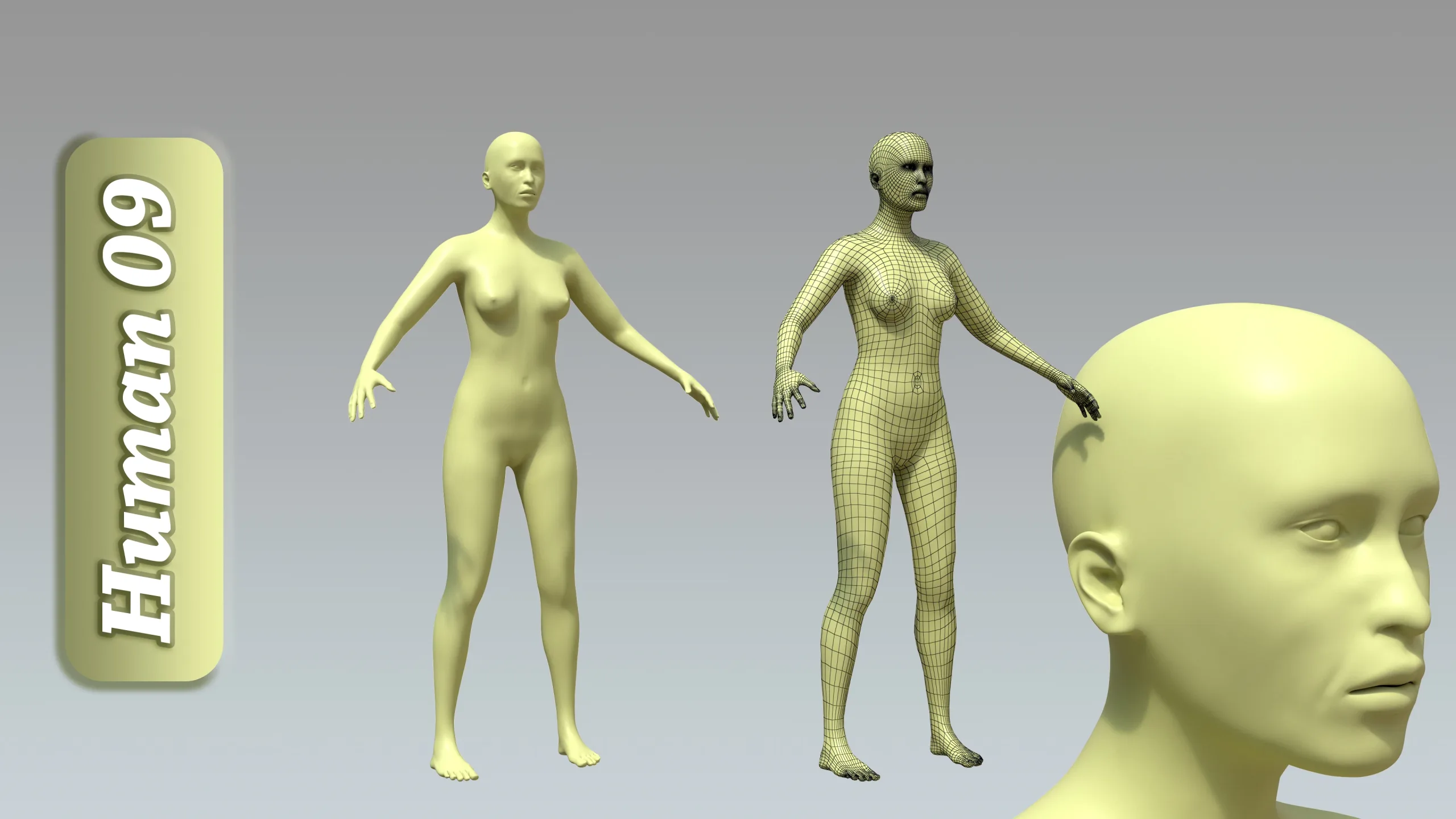 15 Rigged Female Character Basemesh