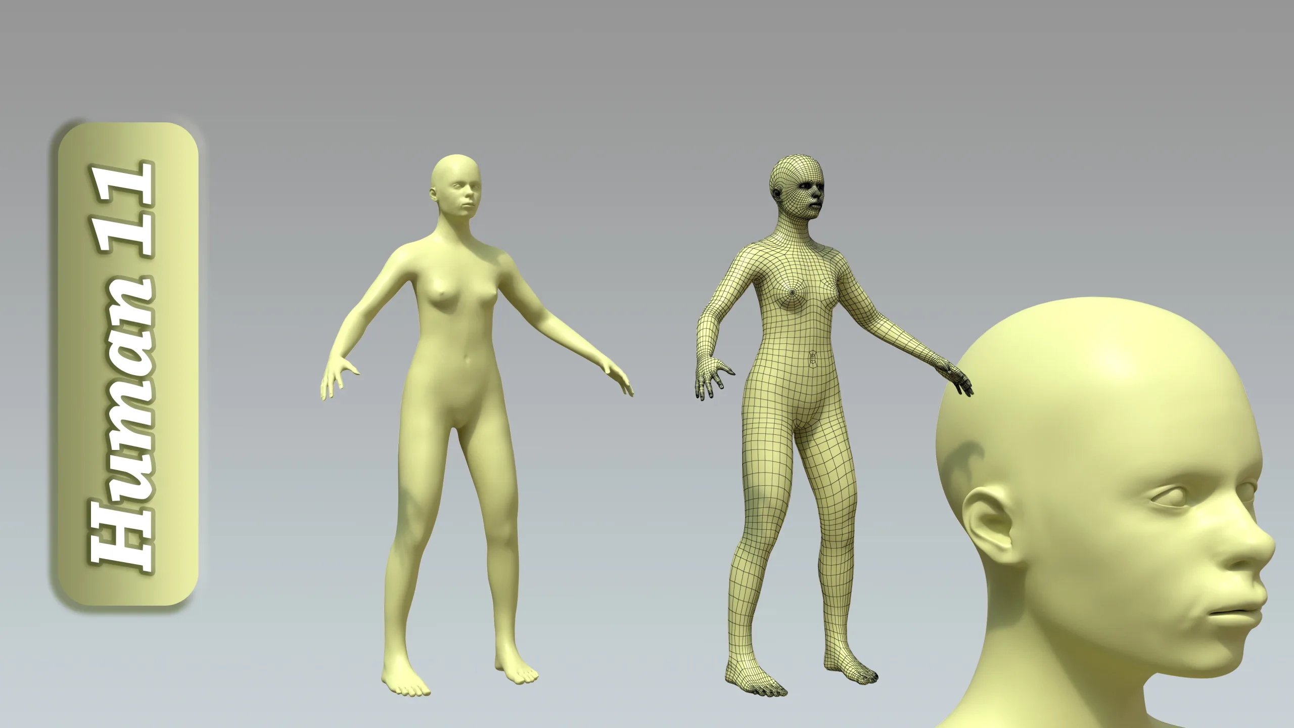 15 Rigged Female Character Basemesh