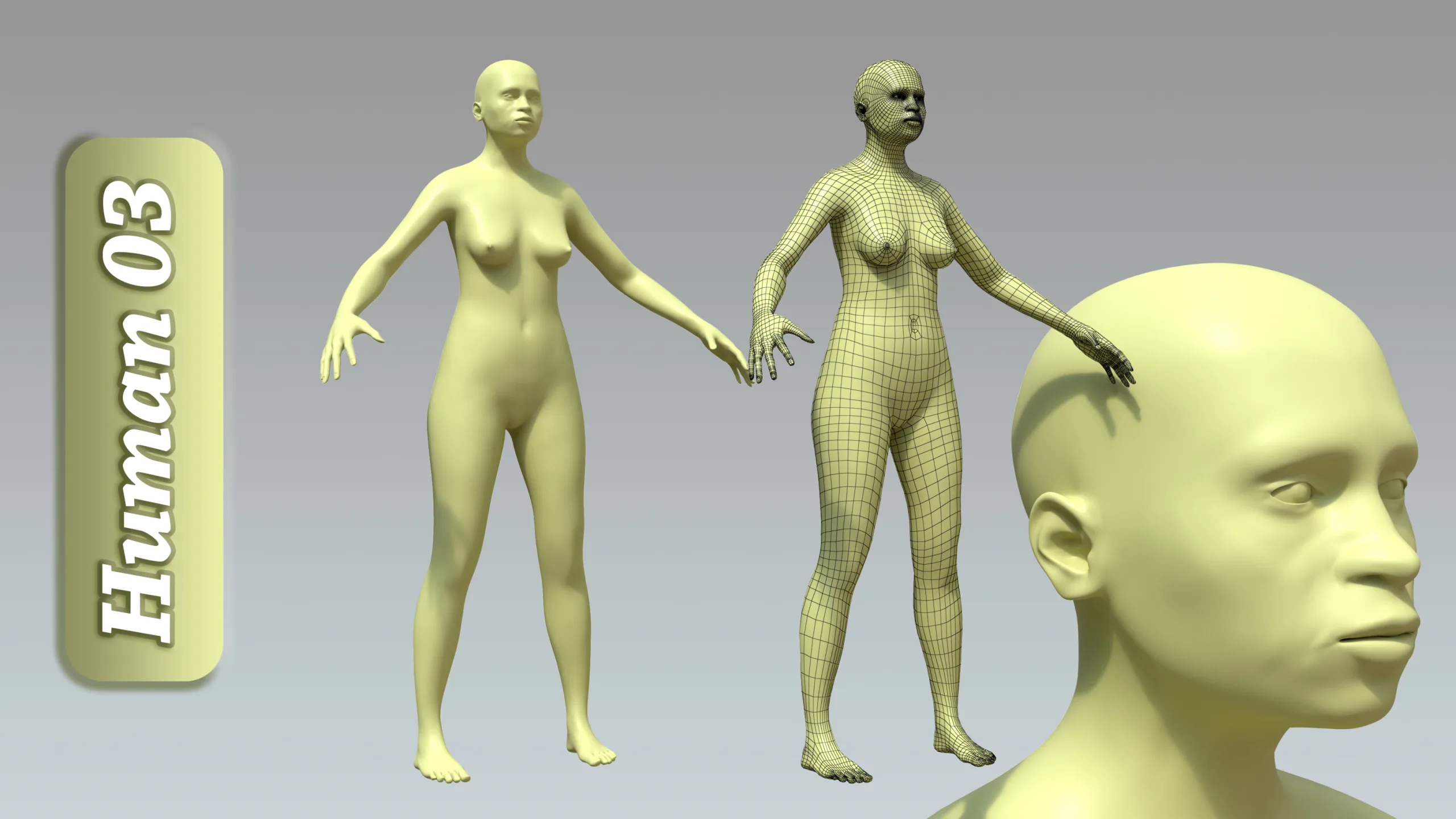 15 Rigged Female Character Basemesh