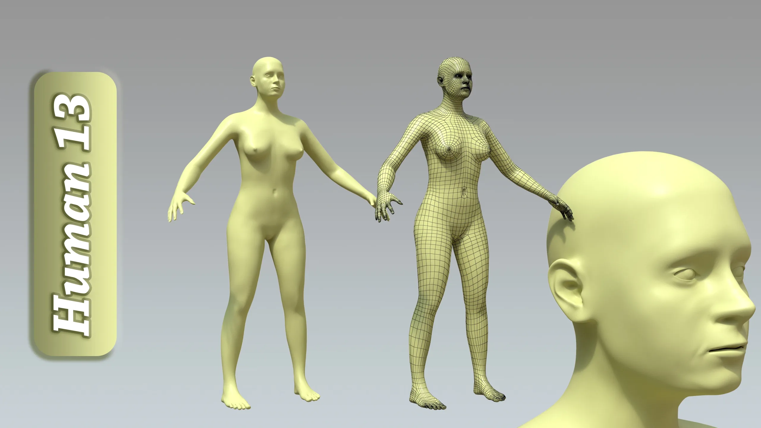 15 Rigged Female Character Basemesh