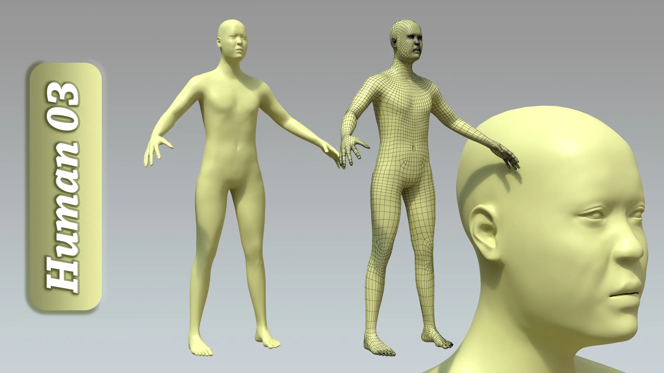 15 Rigged Male Character Basemesh