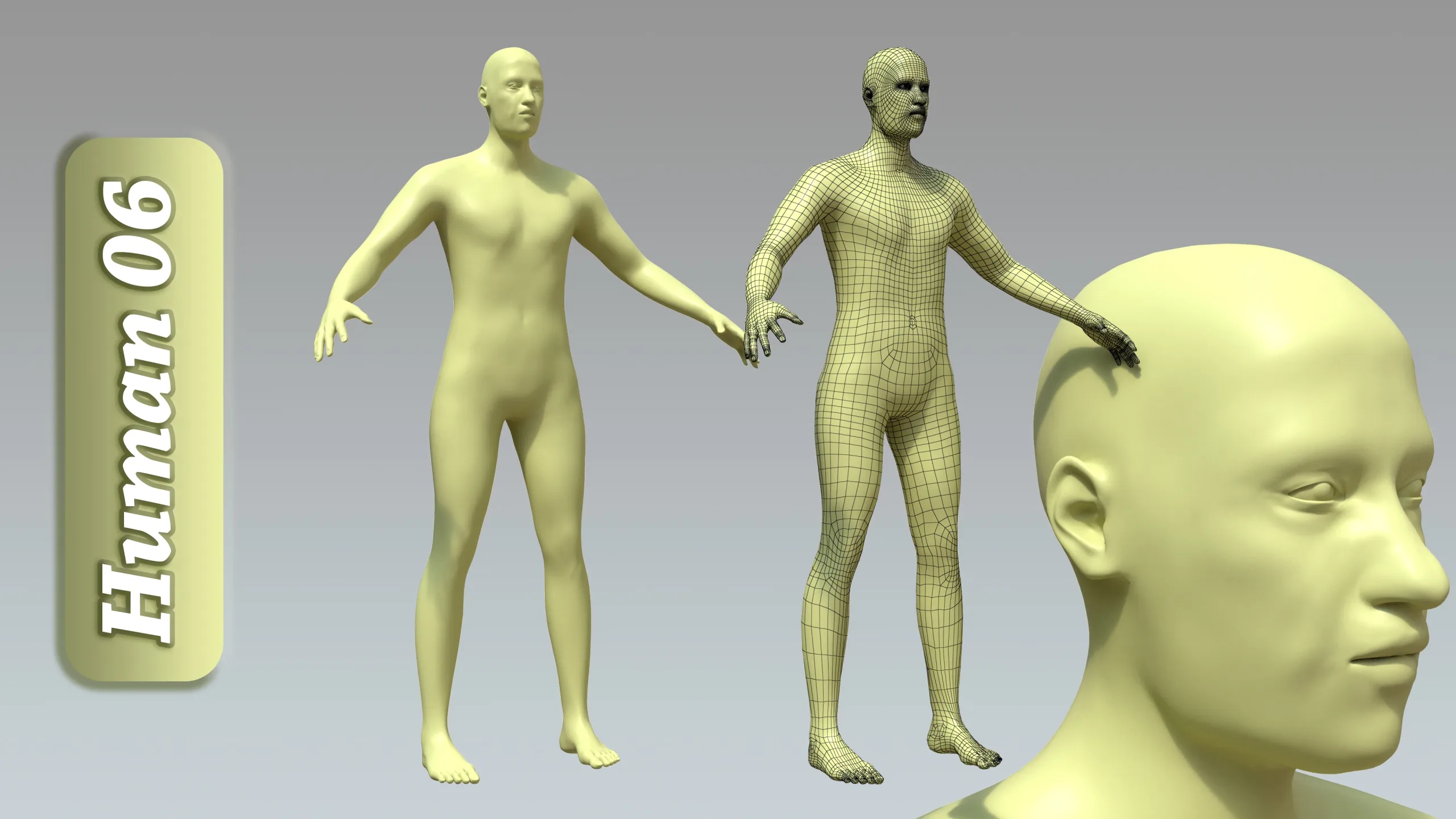 15 Rigged Male Character Basemesh