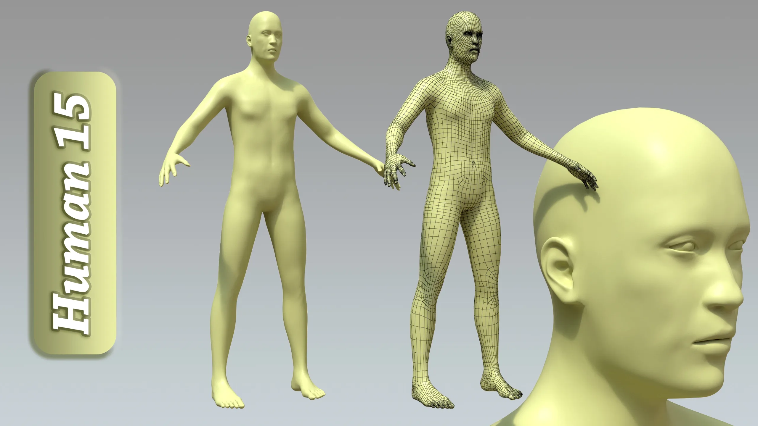 15 Rigged Male Character Basemesh