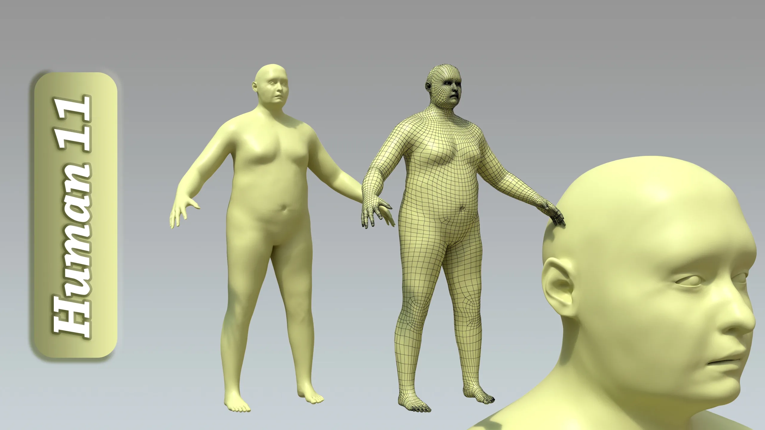 15 Rigged Male Character Basemesh