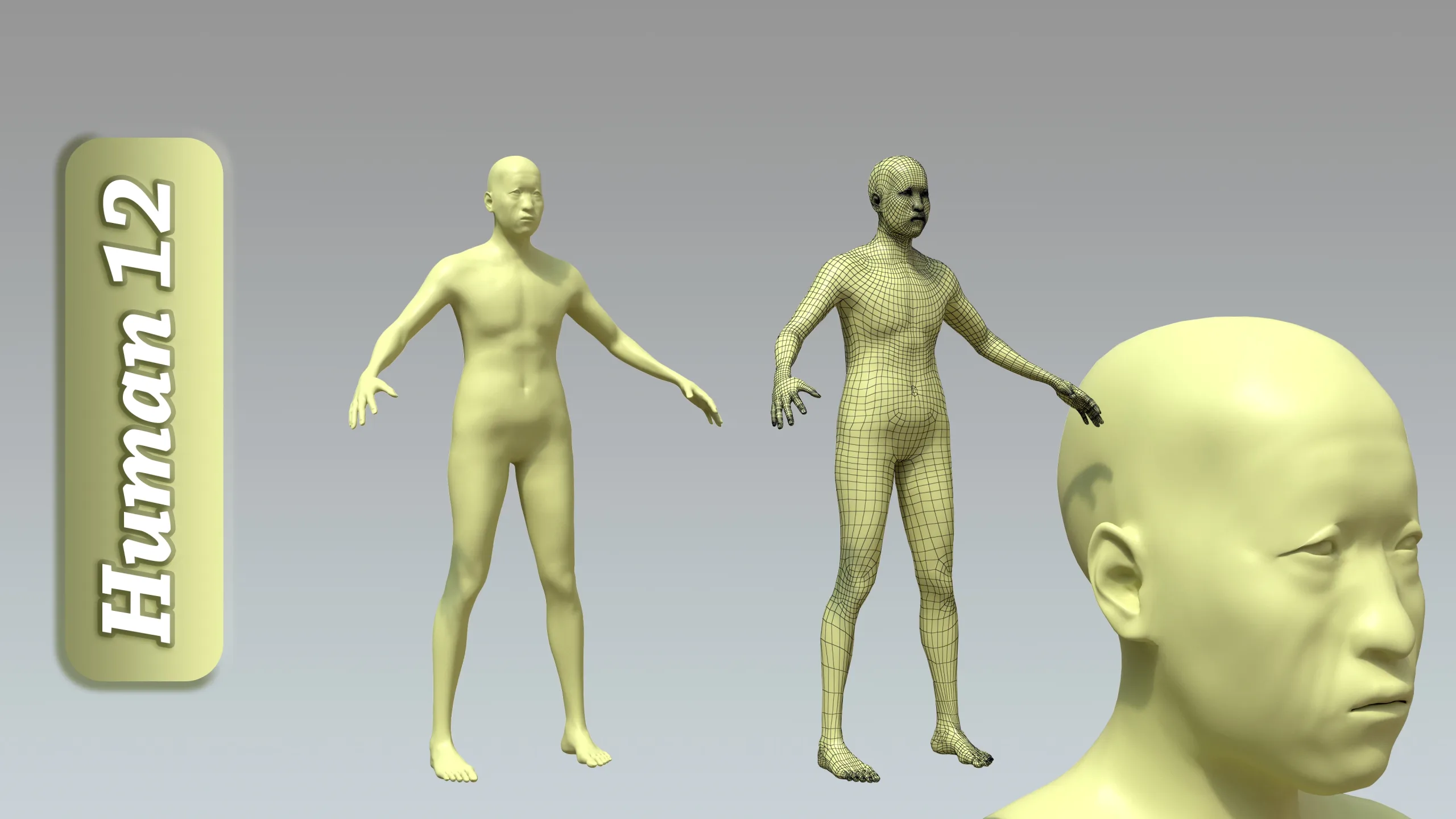 15 Rigged Male Character Basemesh