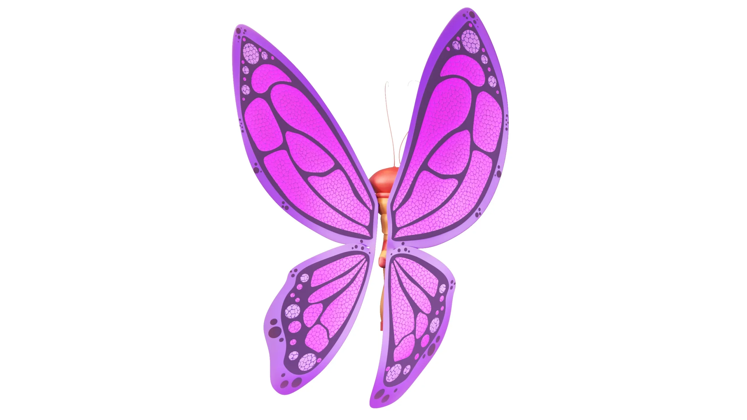 Cartoon Butterfly Character