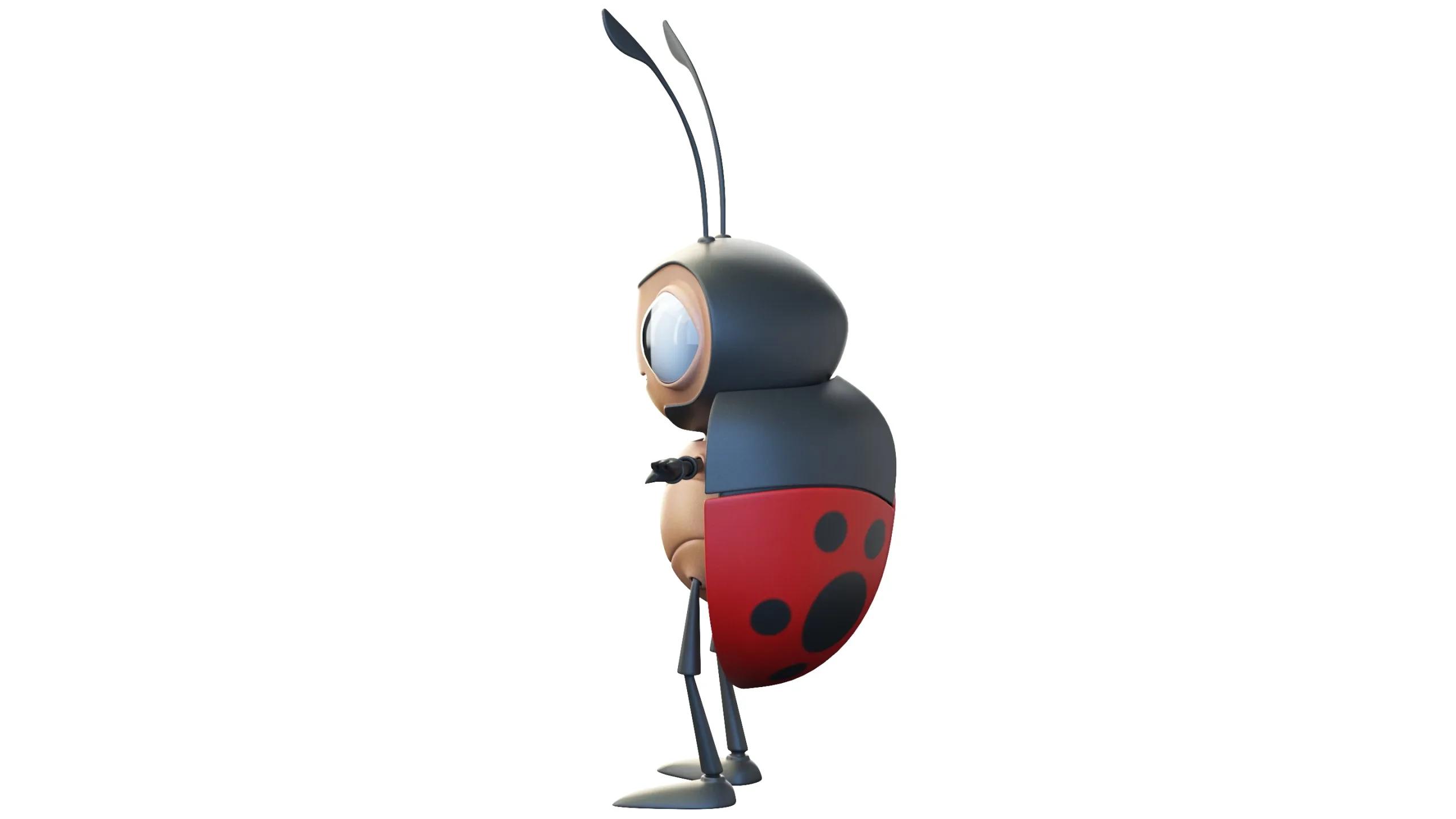 Cartoon Ladybug Character