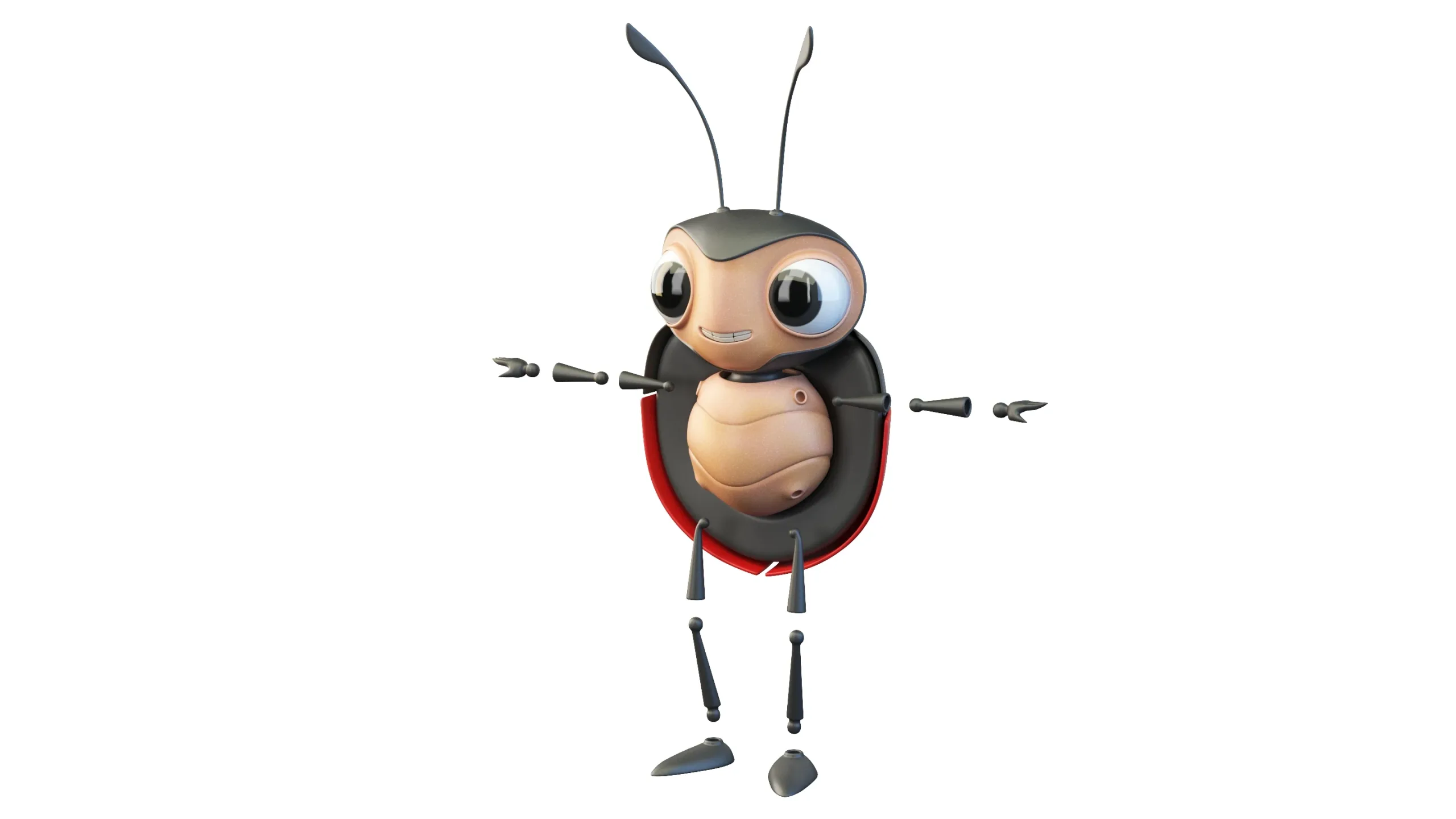 Cartoon Ladybug Character