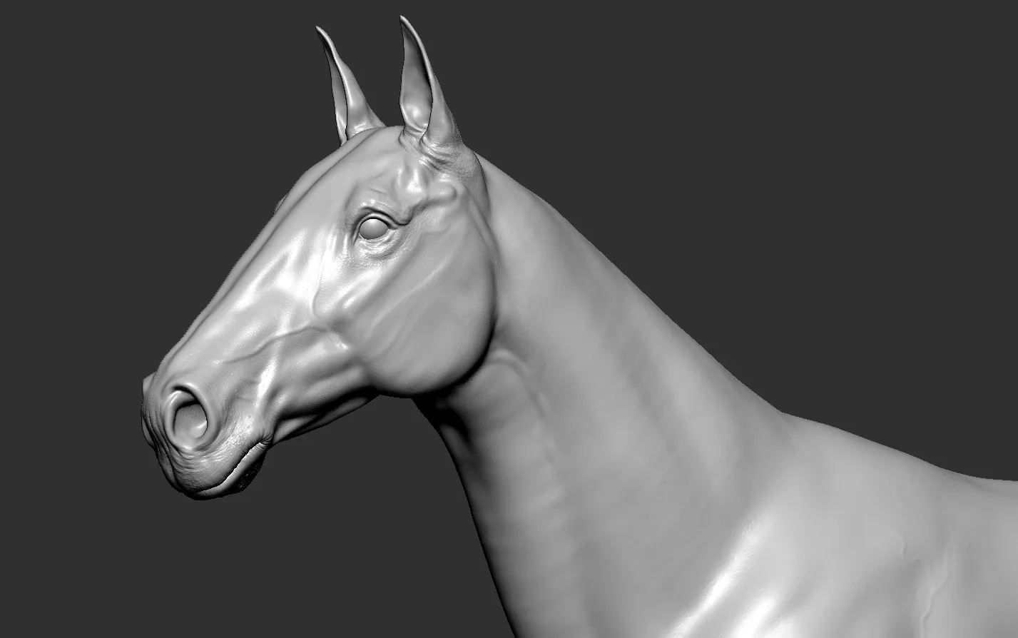 Horse