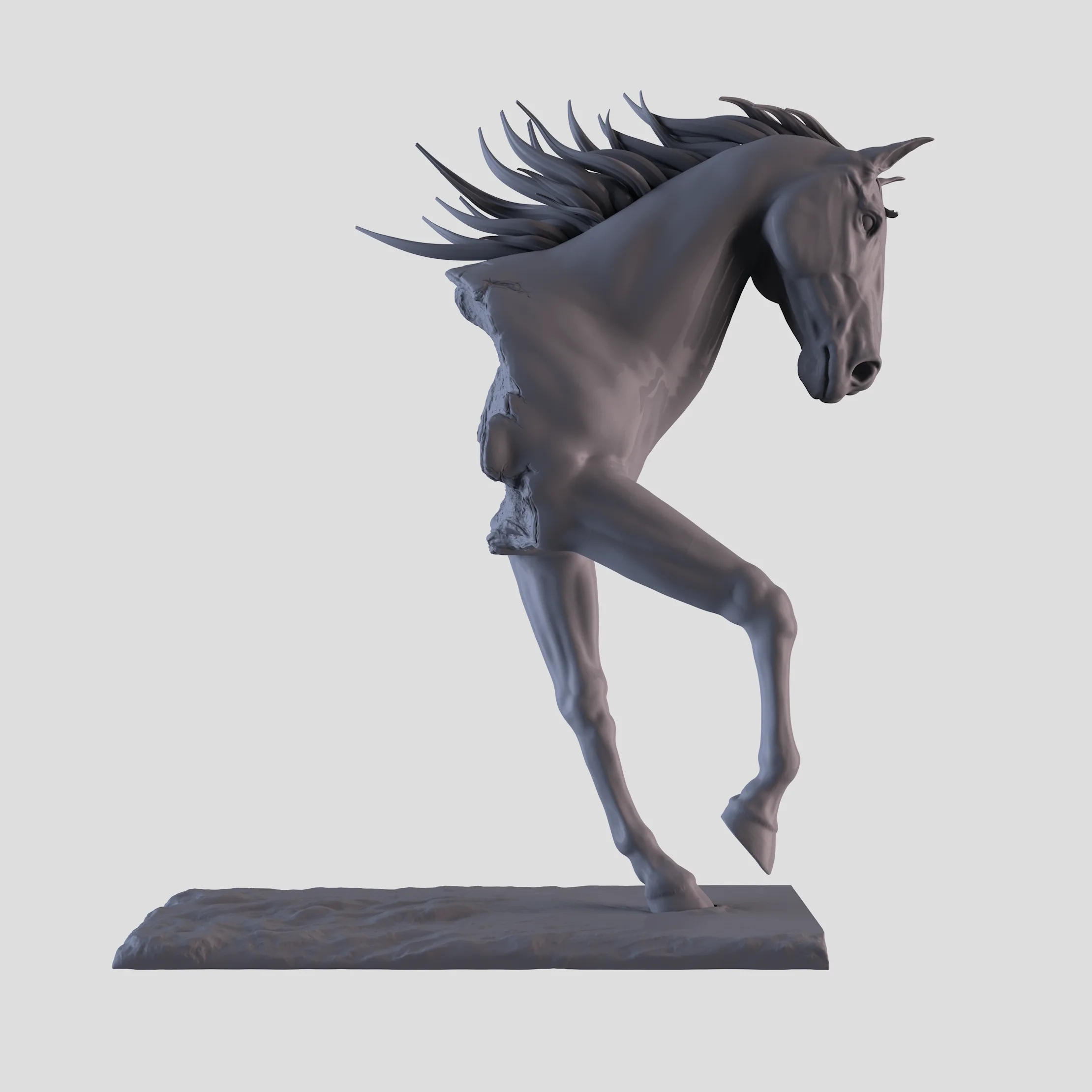 Horse Torso