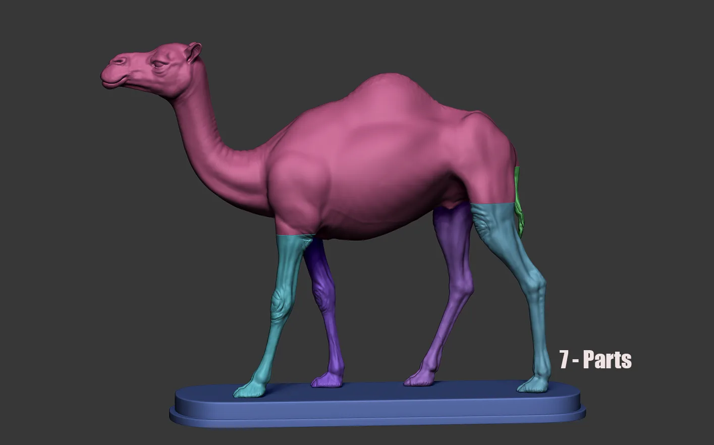 Camel